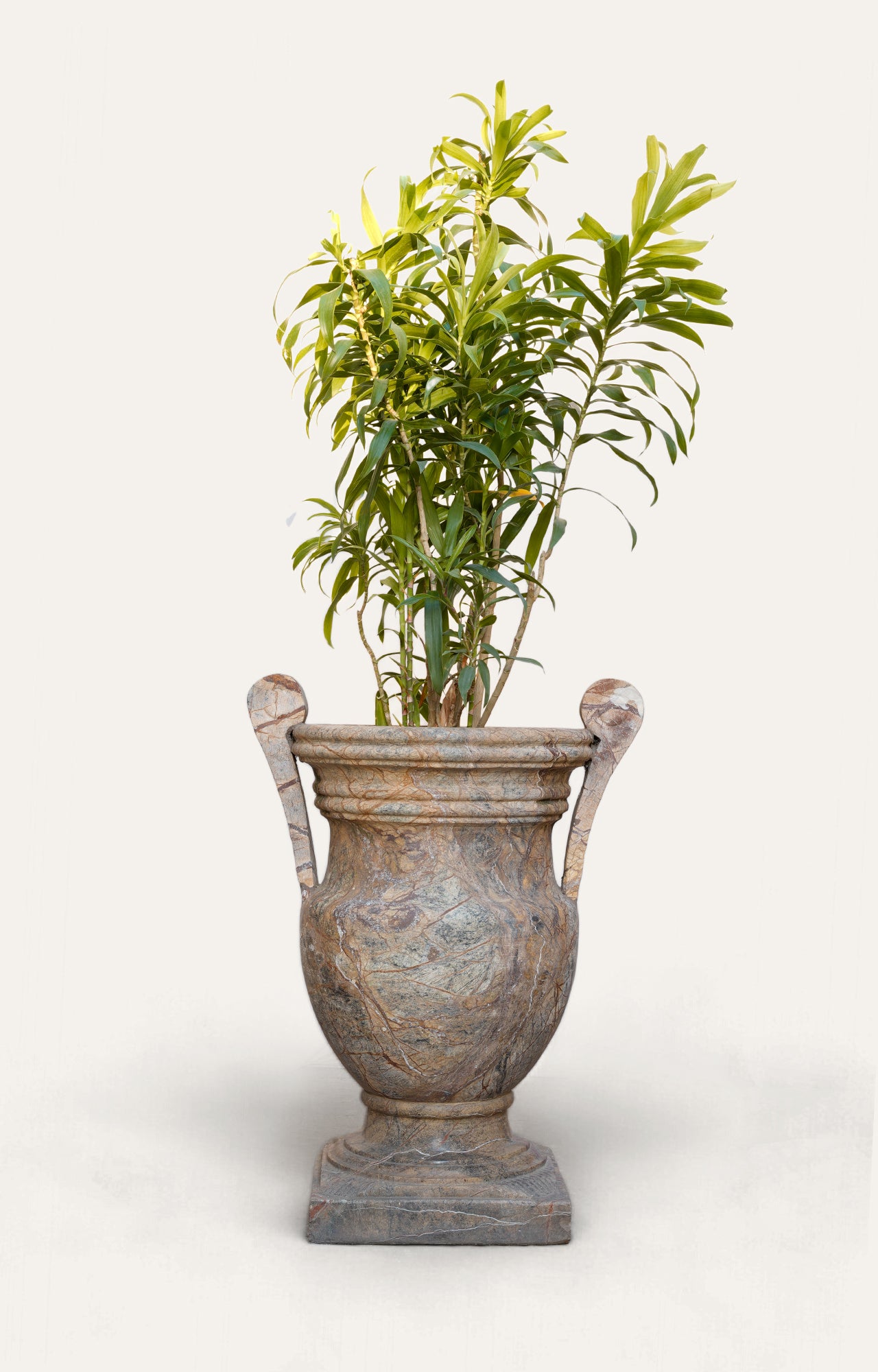 French Neoclassical Garden Planter