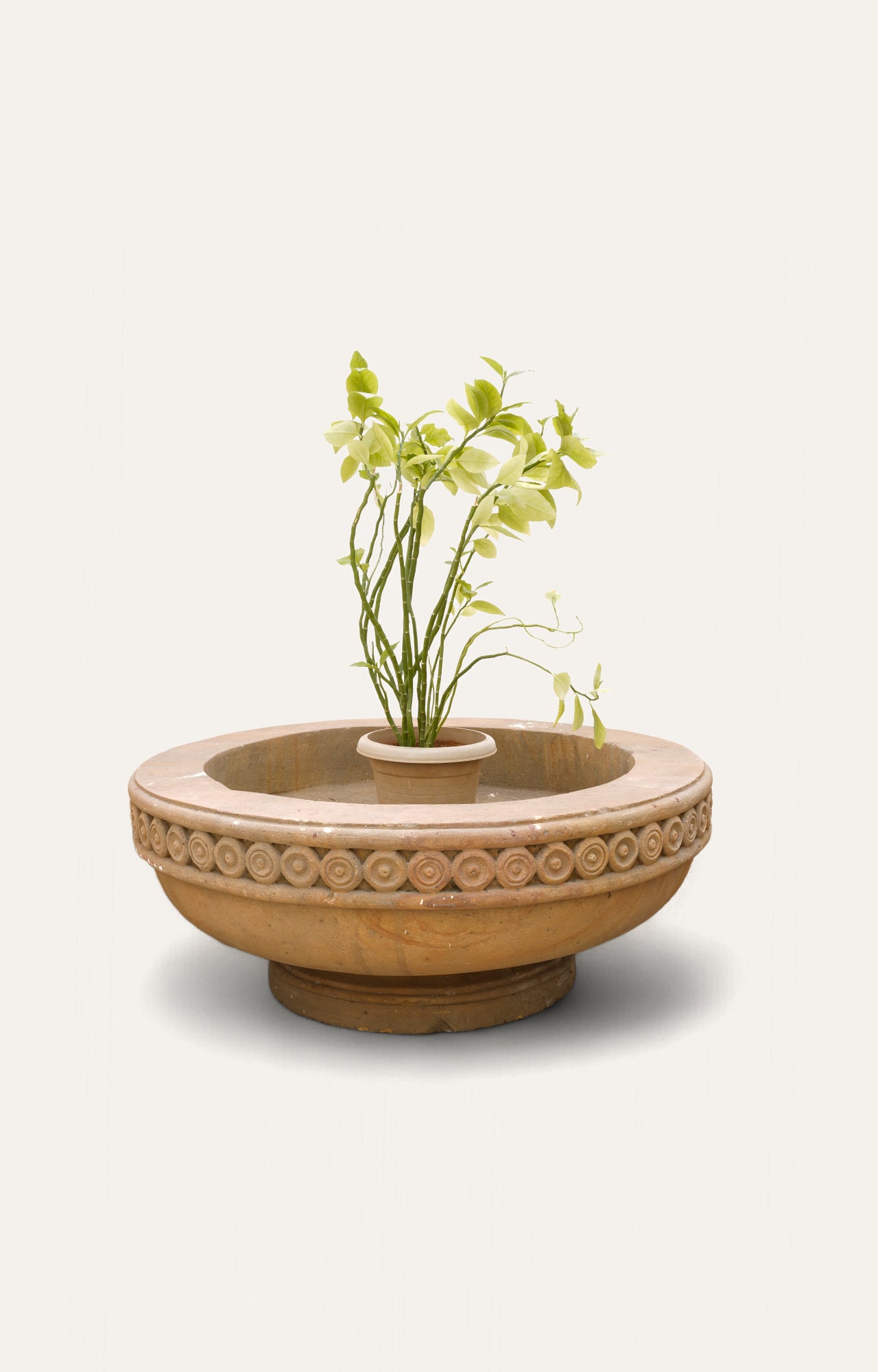 Carved Stone Shallow Bowl Garden Planter