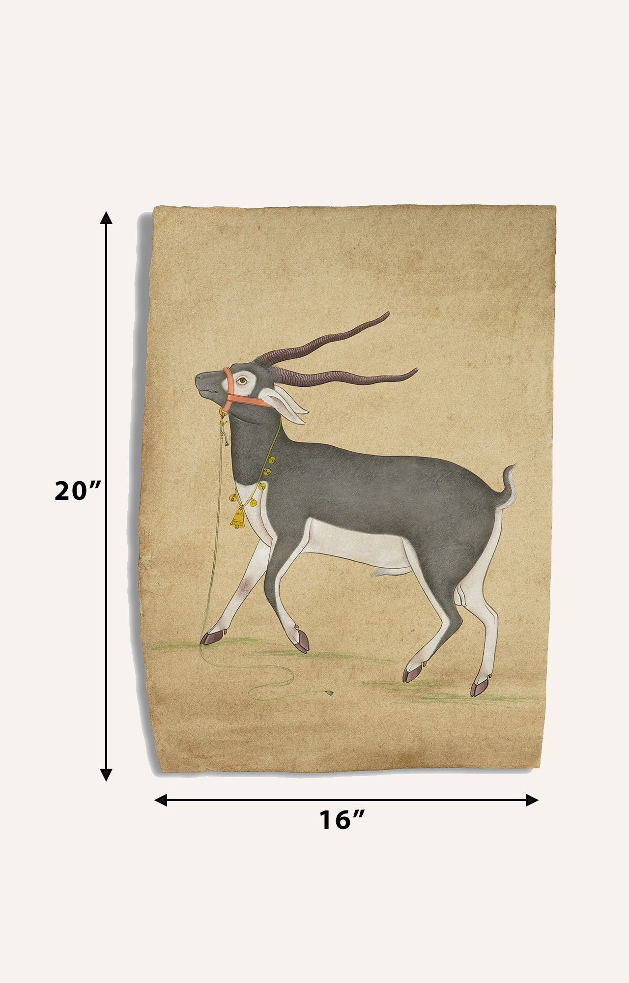 Wildlife Blackbuck Art Work Watercolor