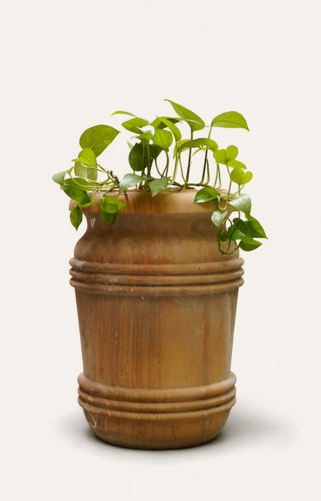 Classic Double Rolled Rim Sandstone Planter