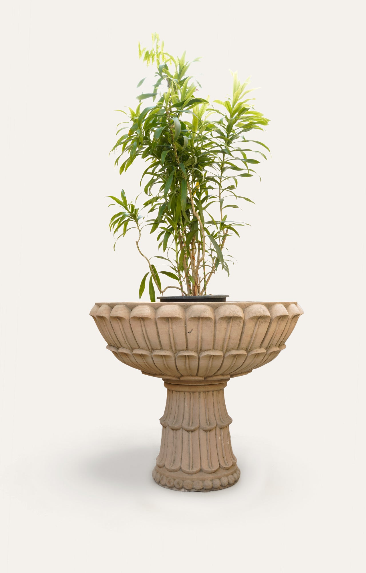 Flower Shape Sandstone Planter