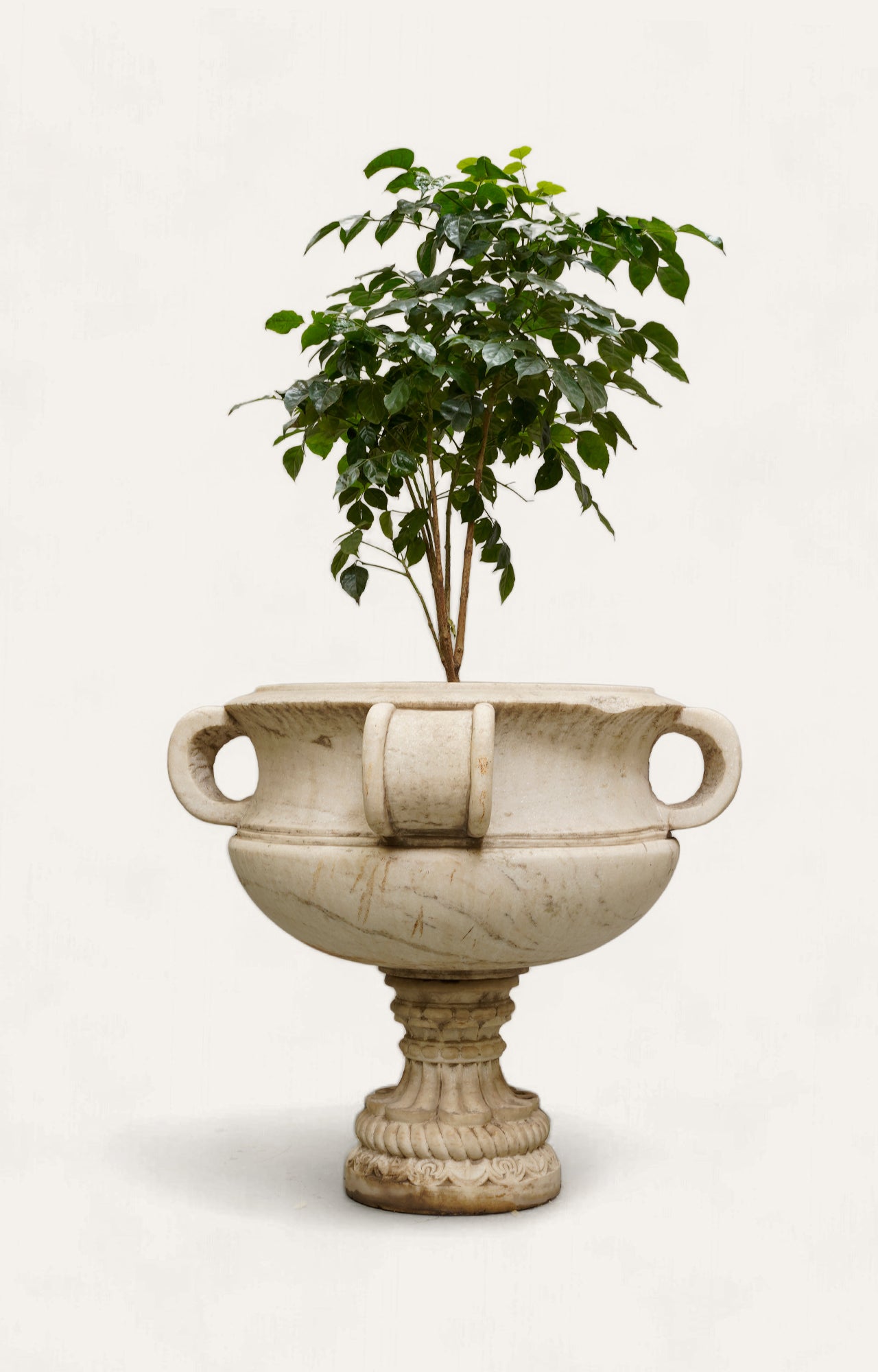 Flowering Beauty: The Elegant Marble Planter with Floral Details