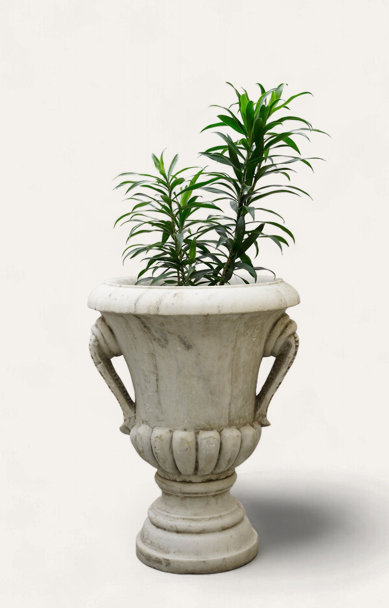 PLANTER – LARGE POT W/HANDLES