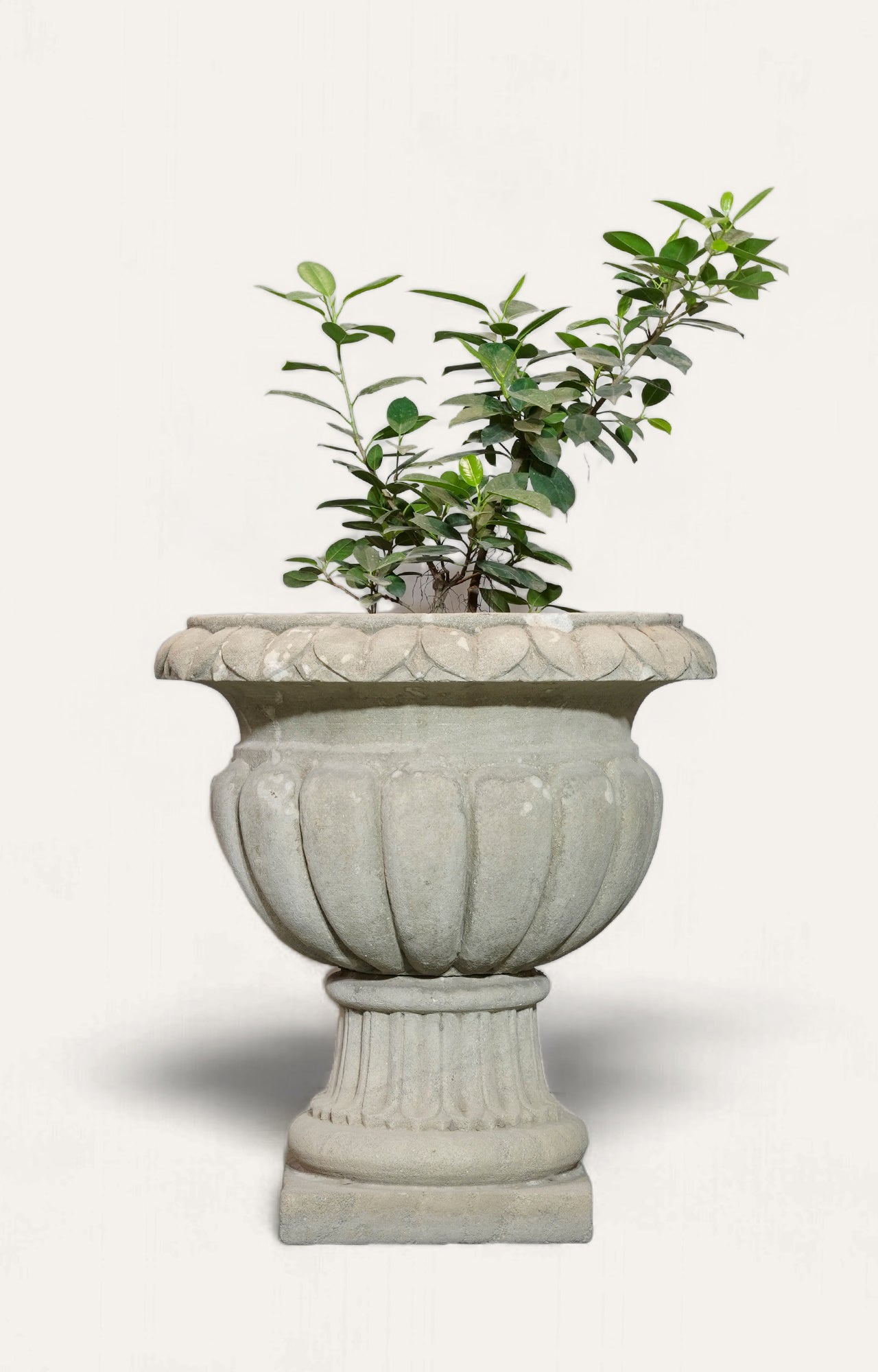 A Large-scaled French Neoclassical Carved Limestone Gadrooned Urns