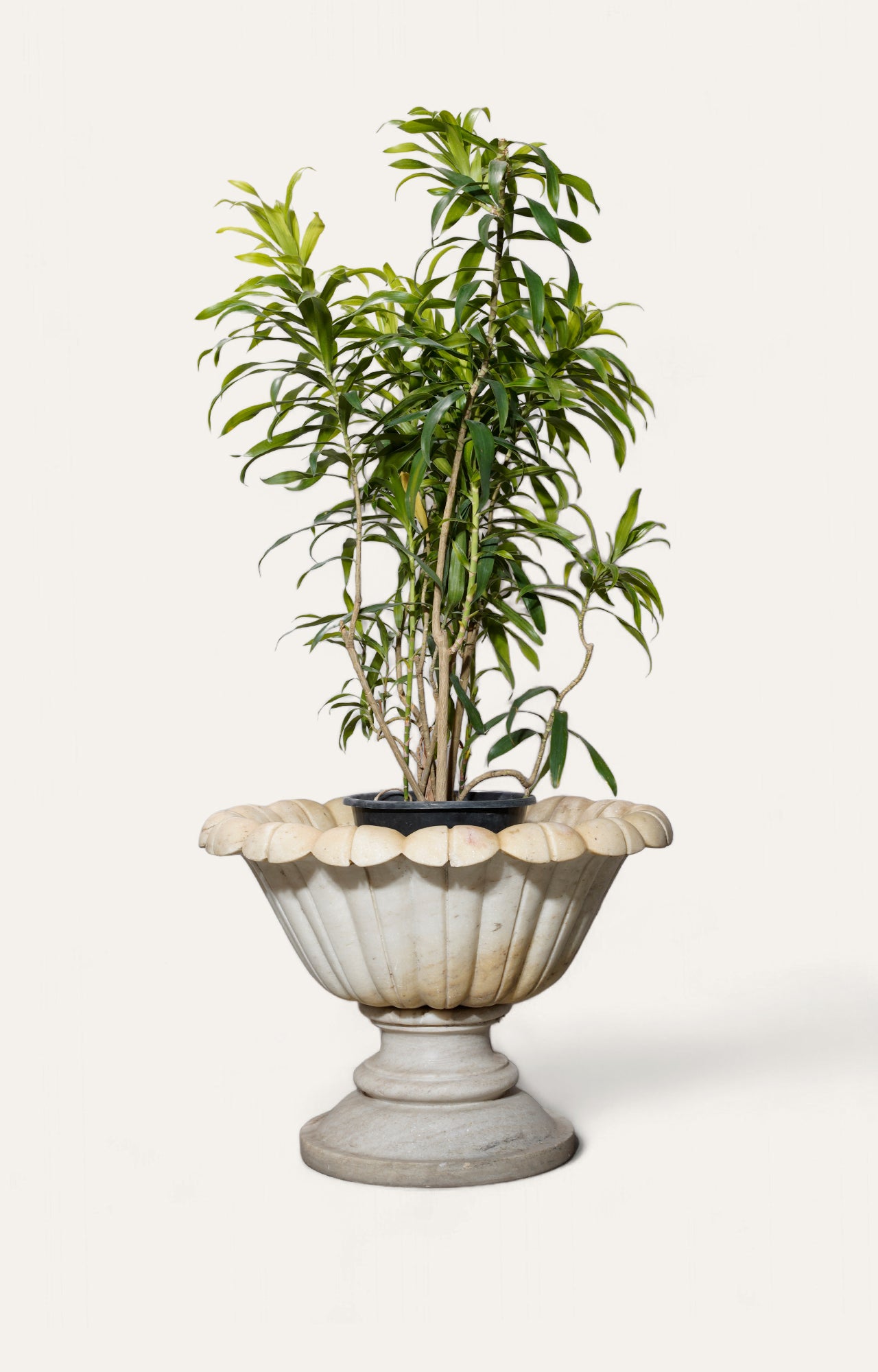 Marble Lotus Long Leaf Urn