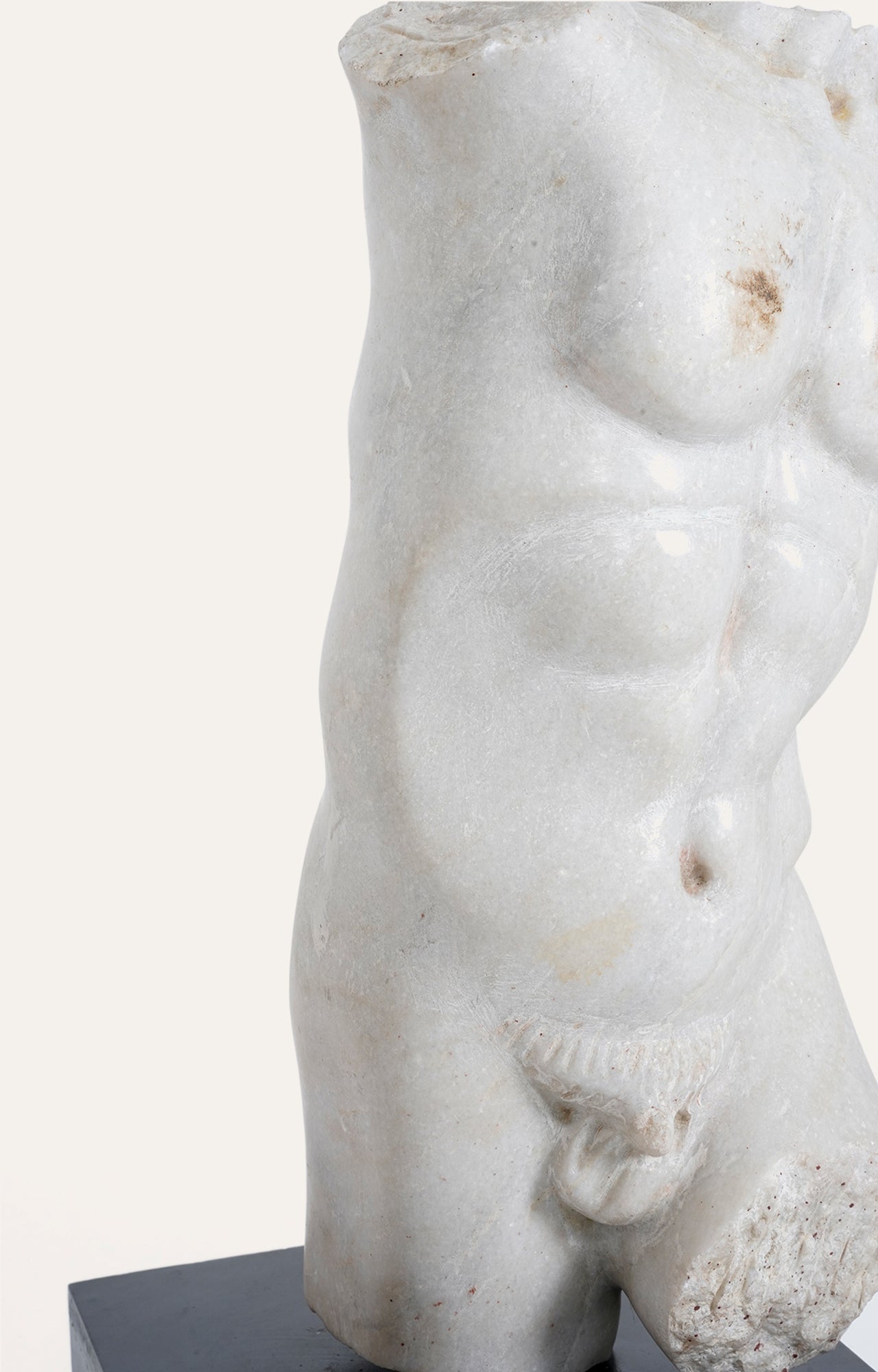 Classic statue - Renaissance Art - David's torso