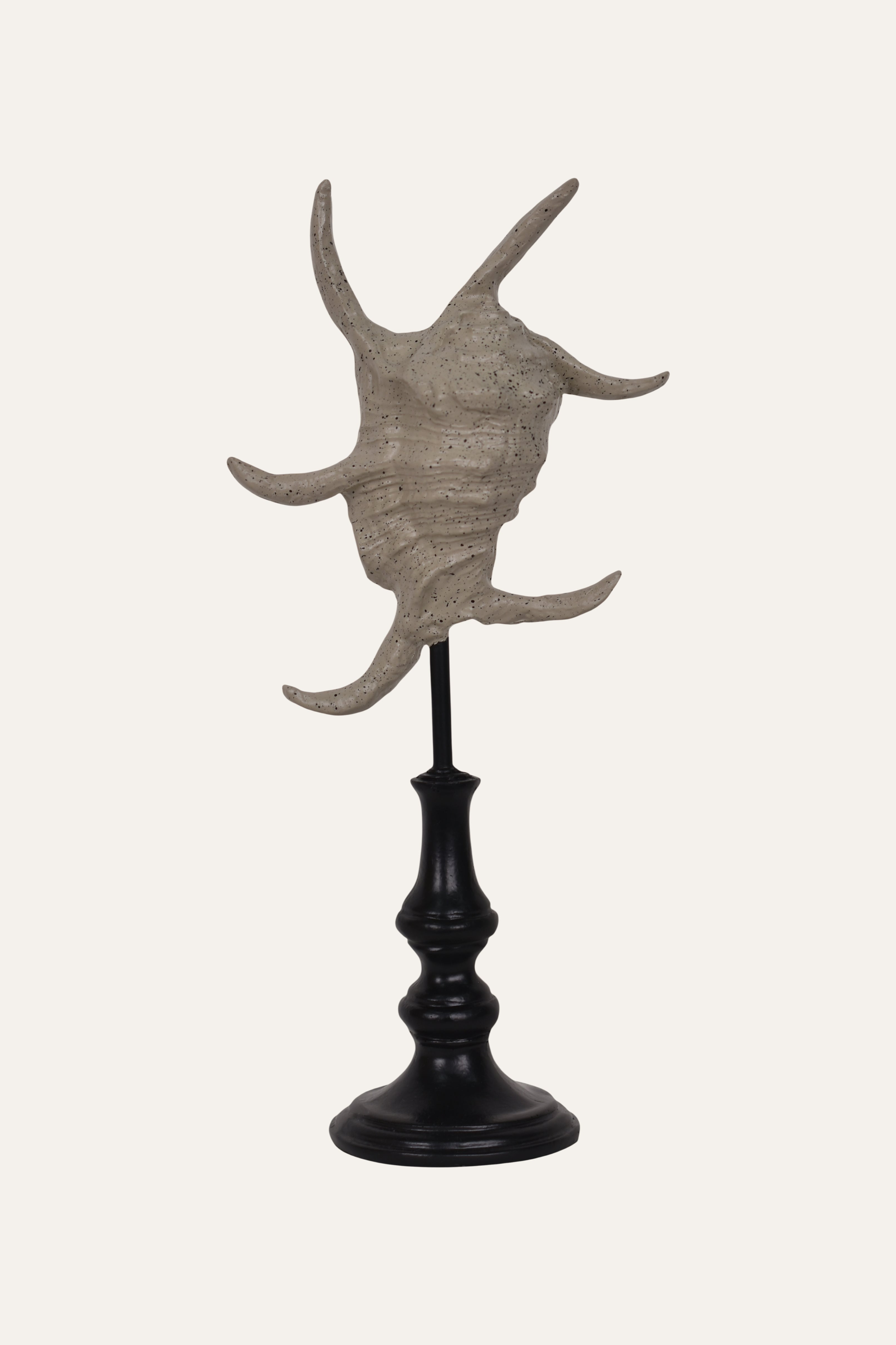 Decorative Marine Fossil Resin Sculpture Set