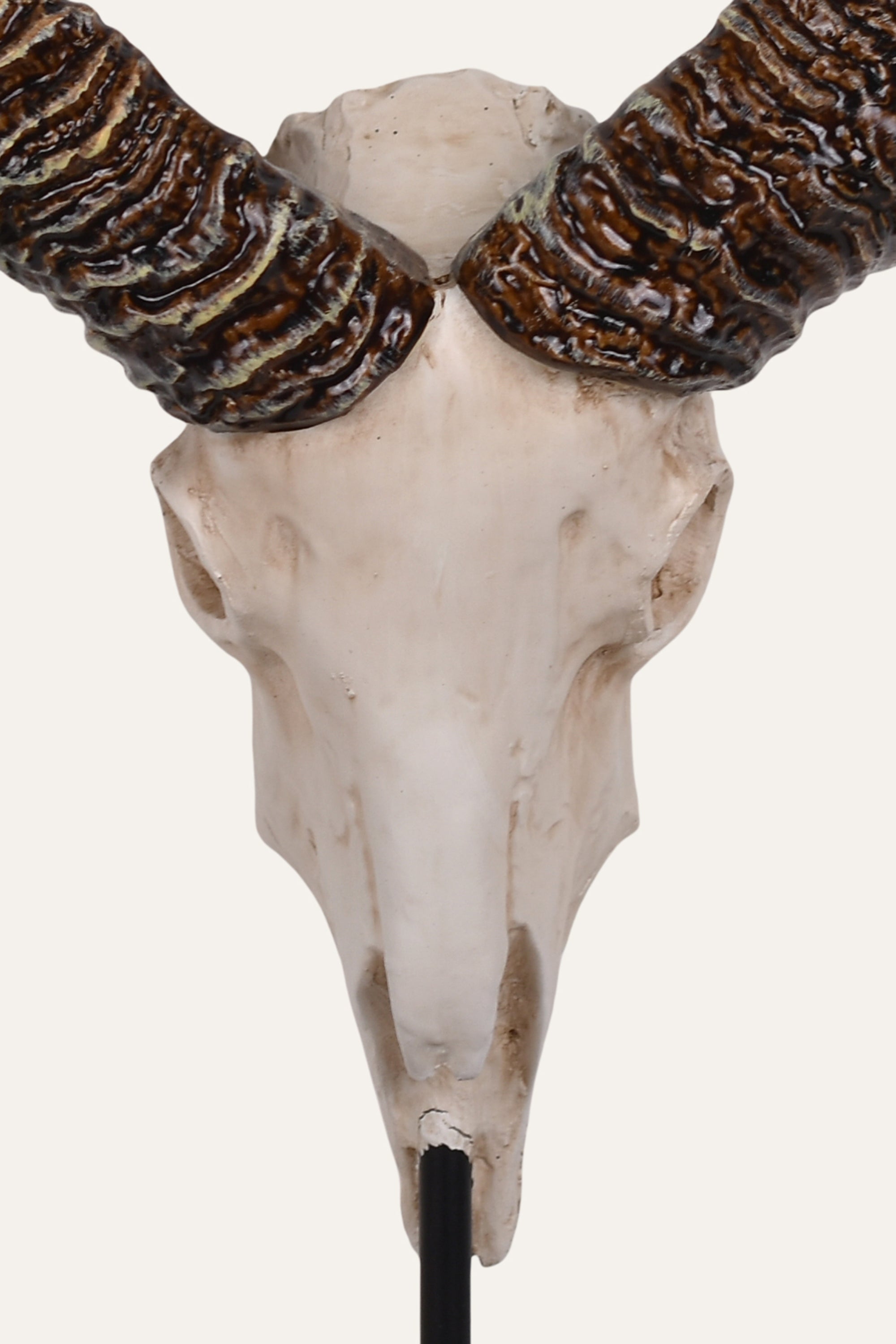 Decorative Ram Skull Sculpture