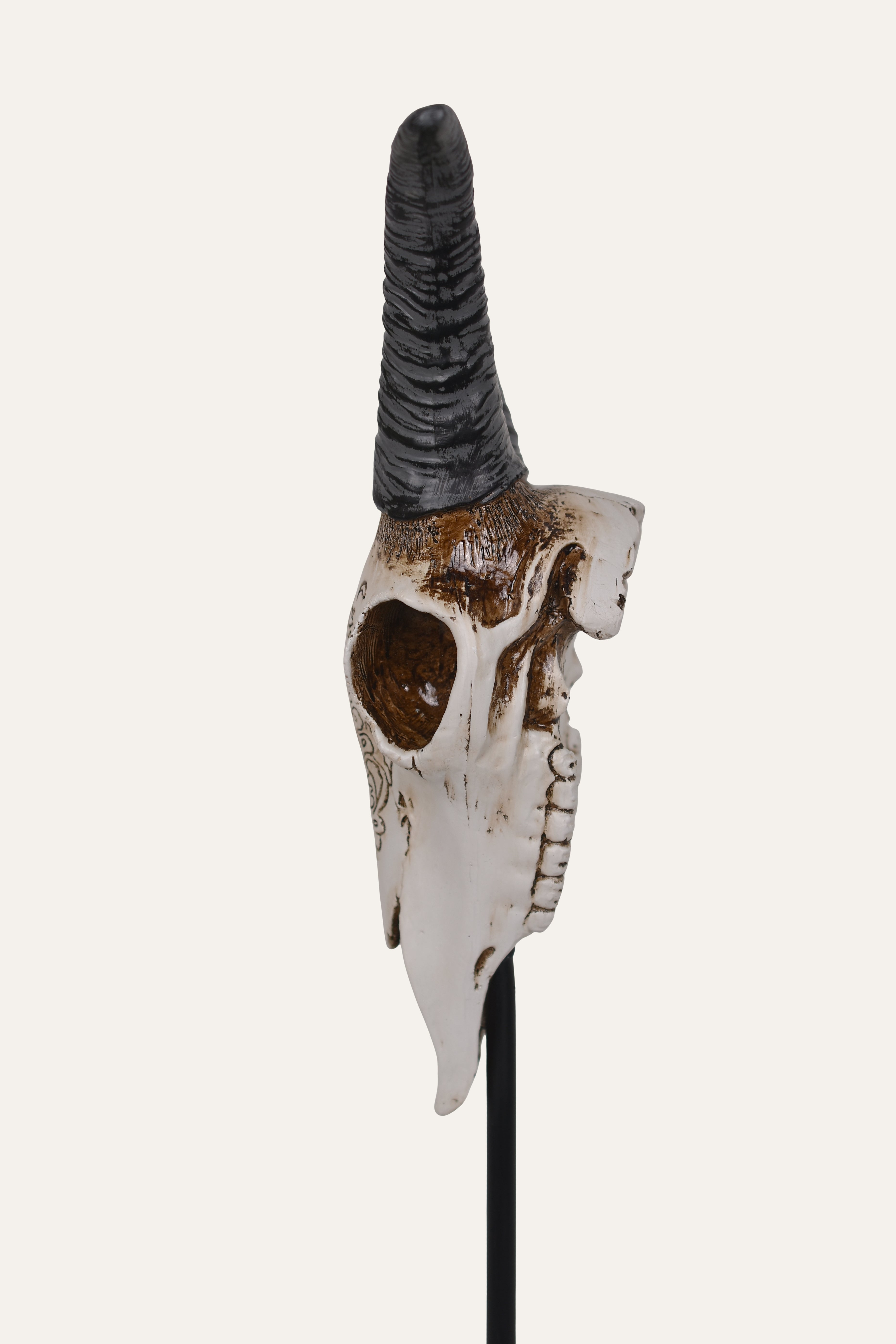 Decorative animal skull with horns