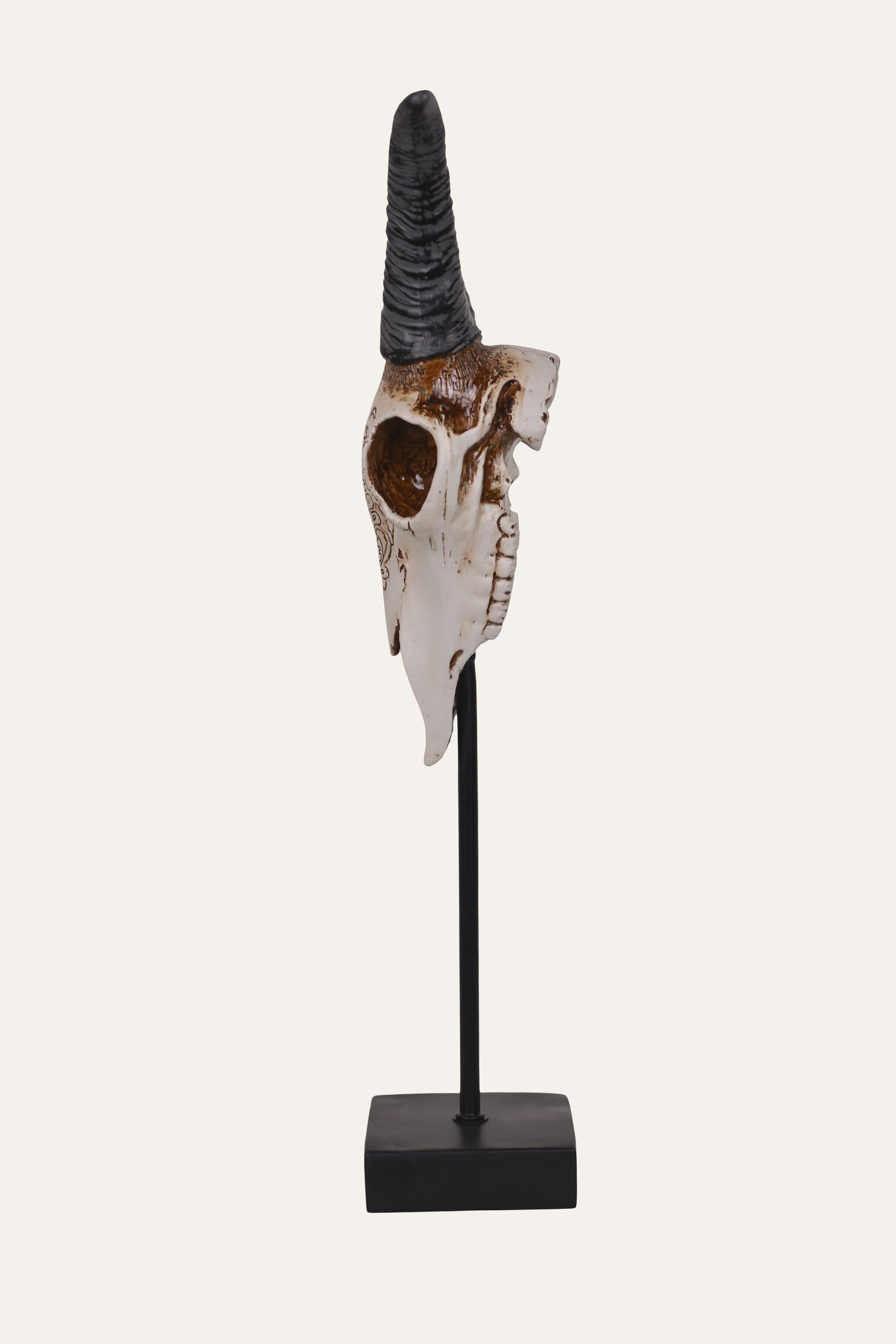 skull with horns