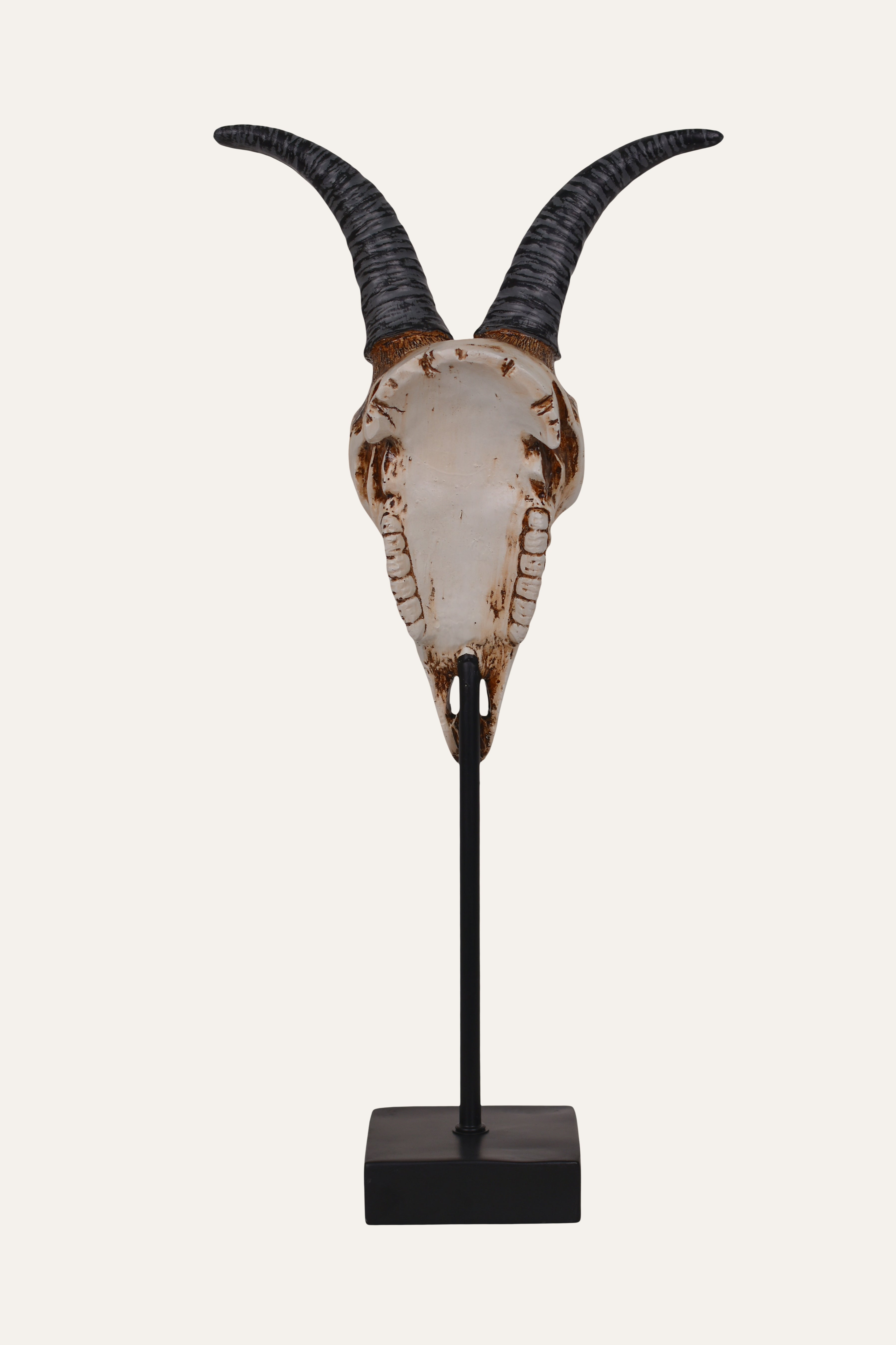 Decorative skull 