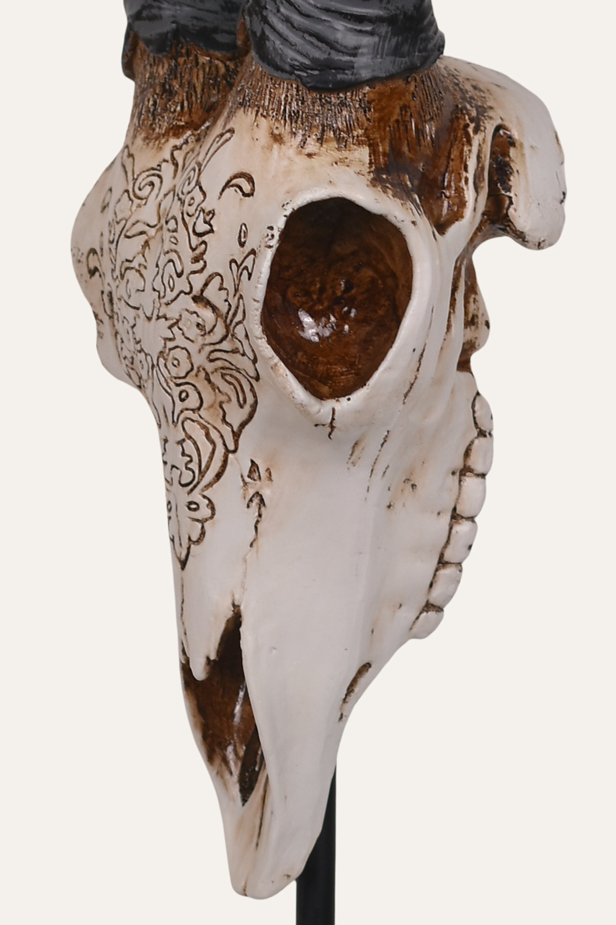Decorative animal skull