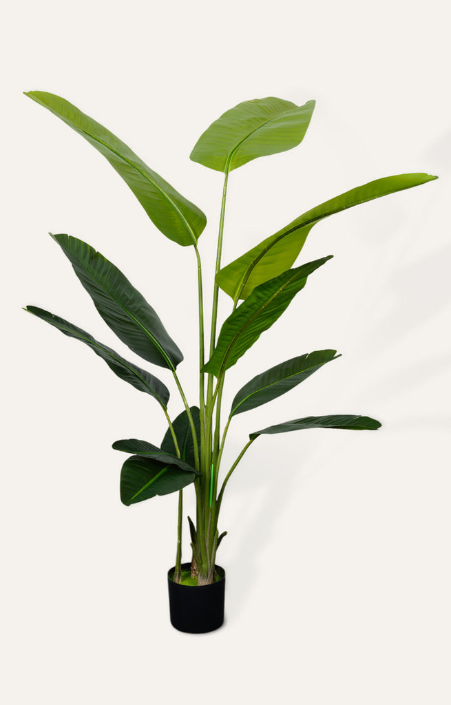 Artificial Bird of Paradise Plant 