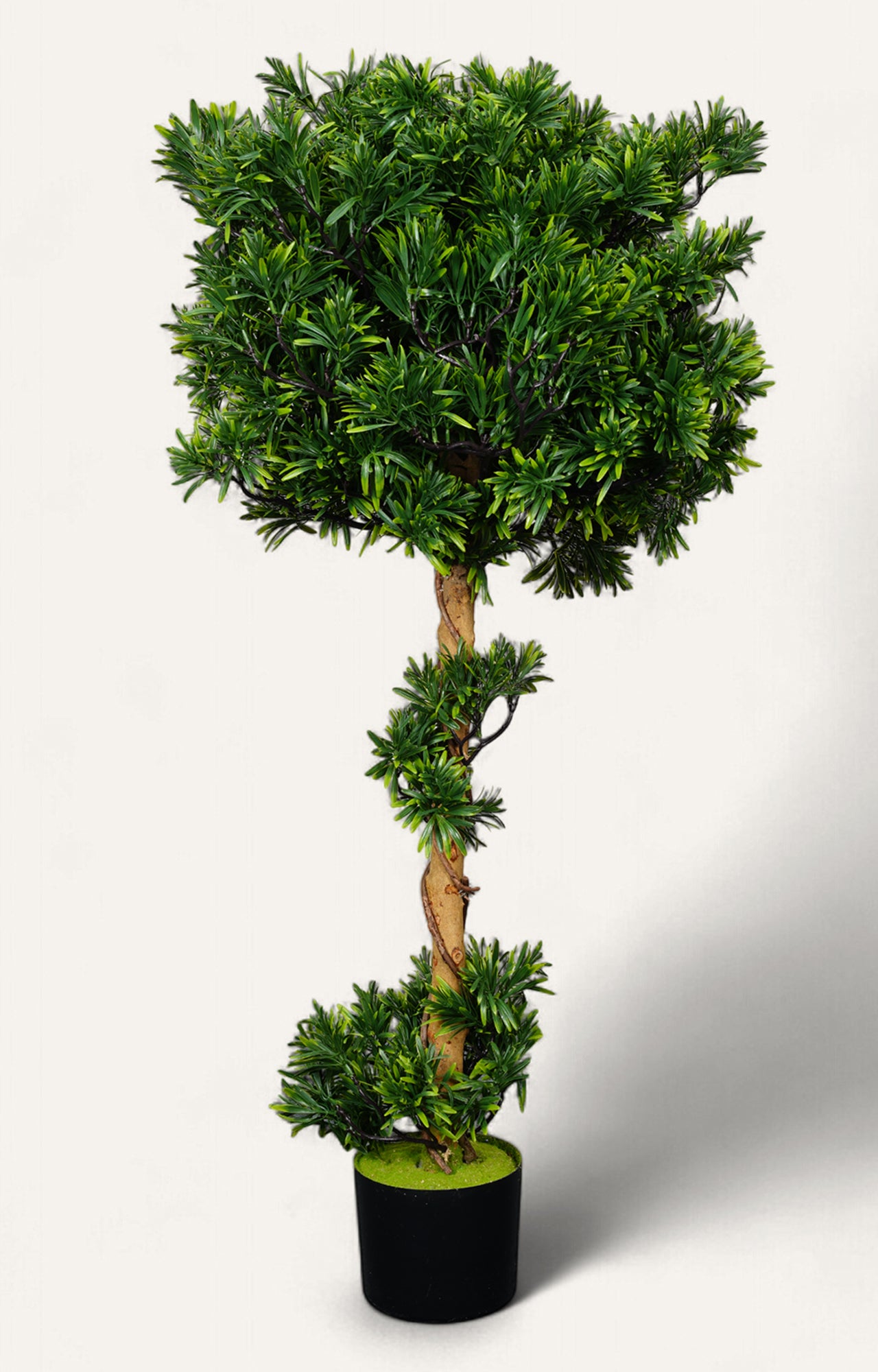 Artificial Podocarpus Spiral Topiary