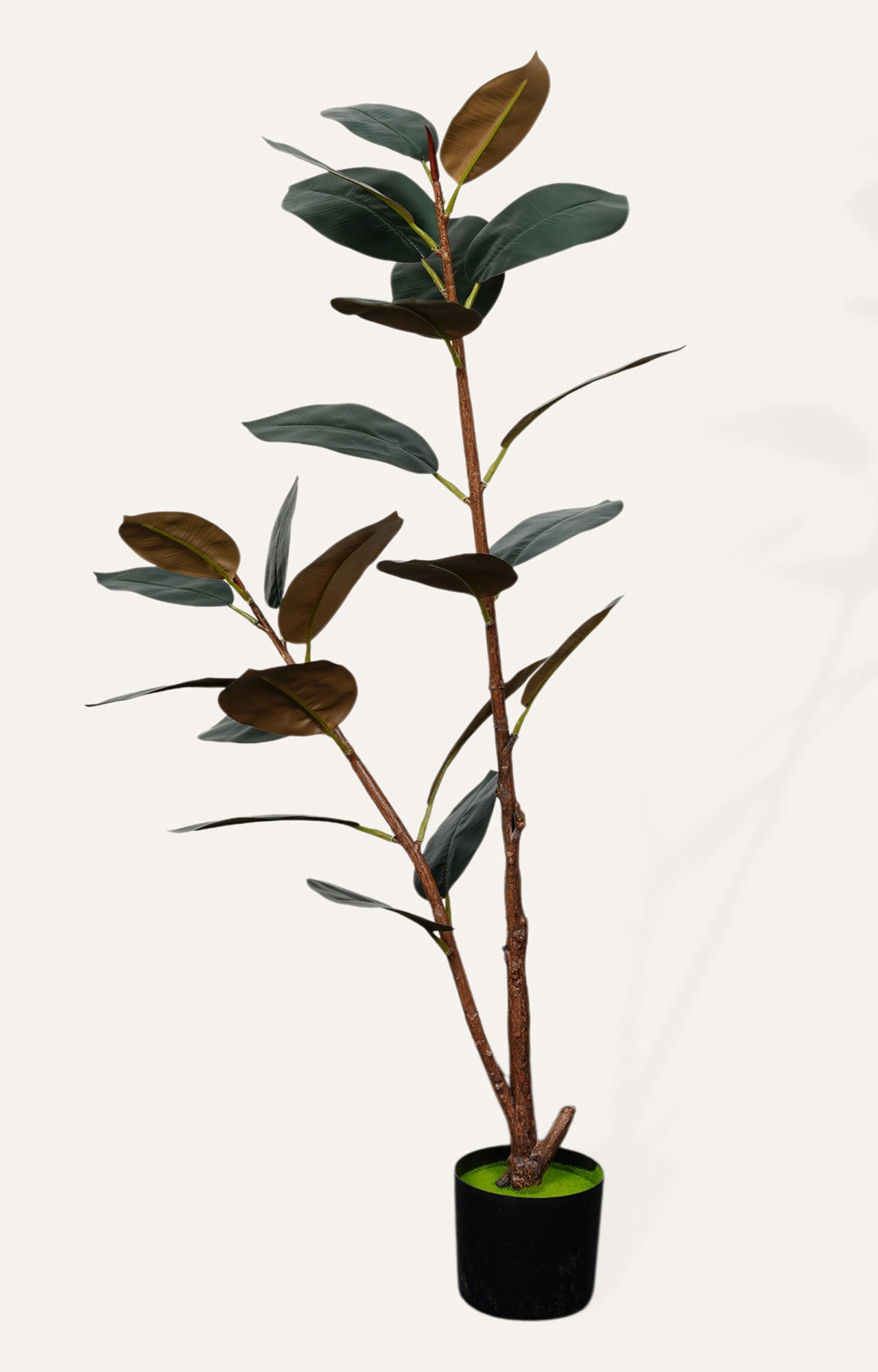 Artificial Rubber Plant
