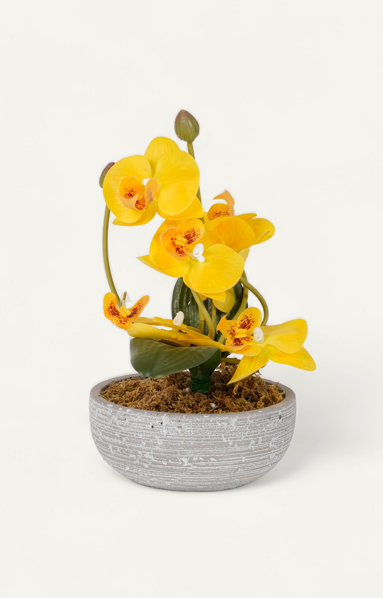 Artificial Yellow Orchid in Pot