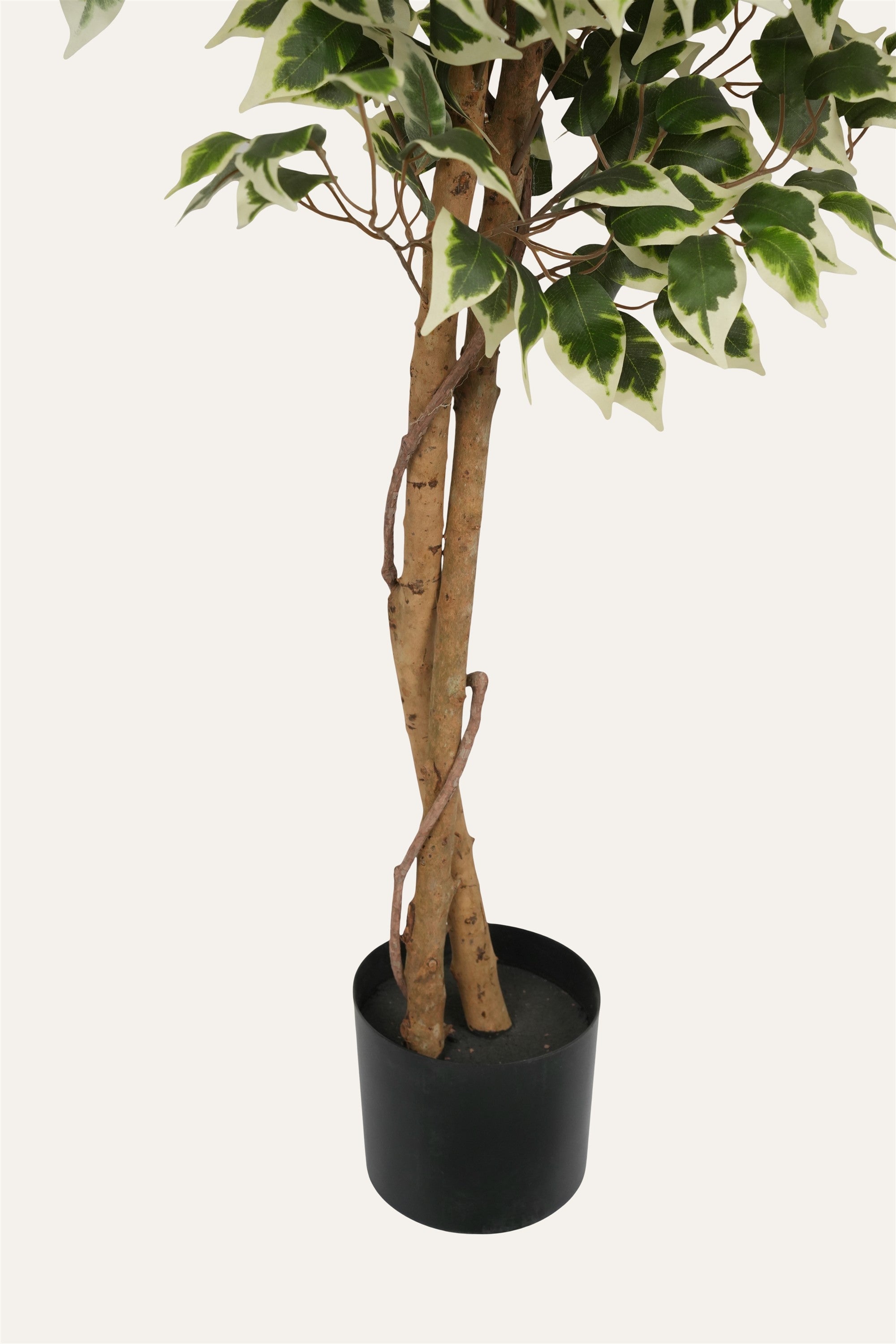 Artificial ficus tree with dual-tone leaves