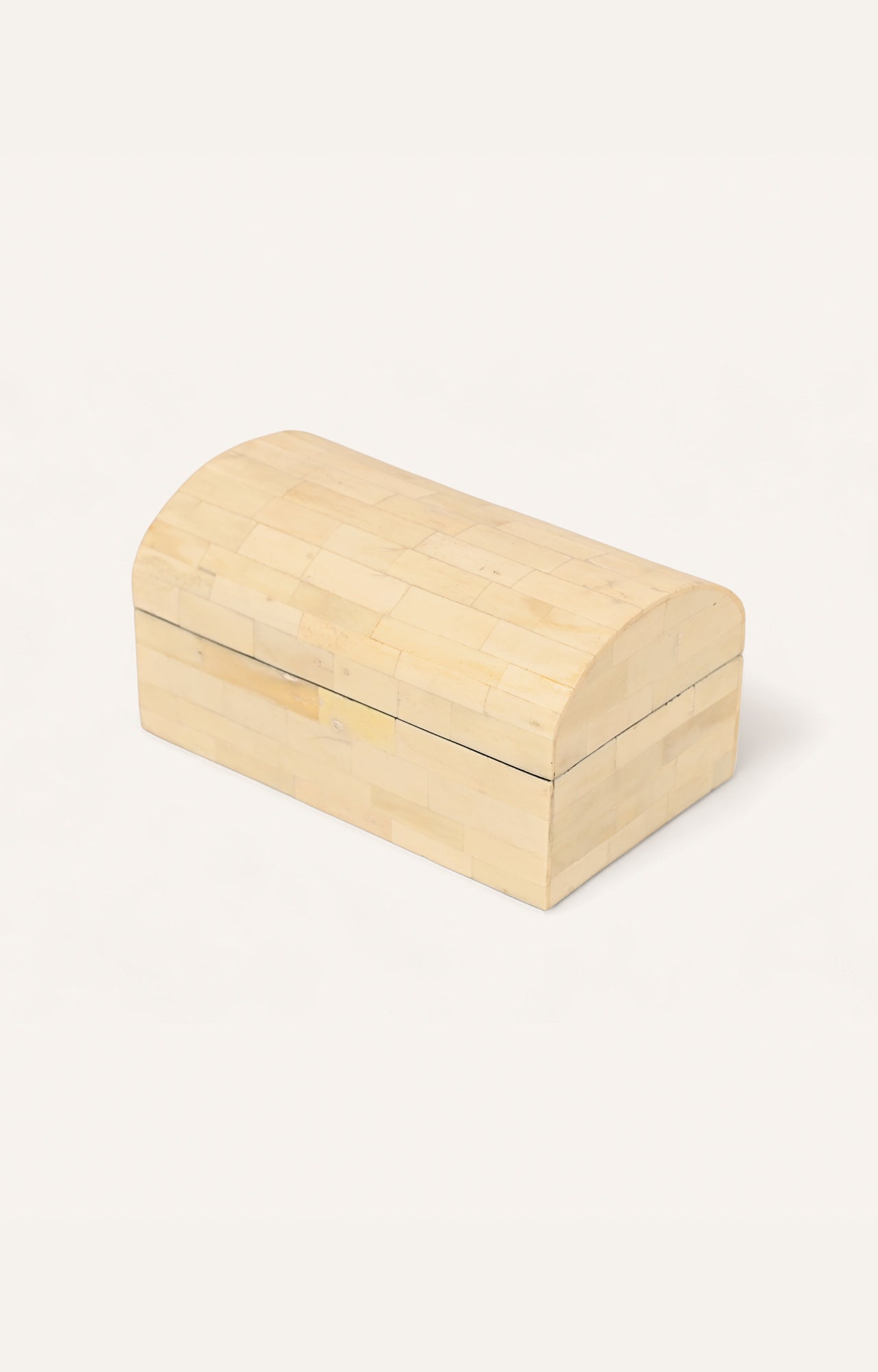 Camel Bone Decorative Box_5