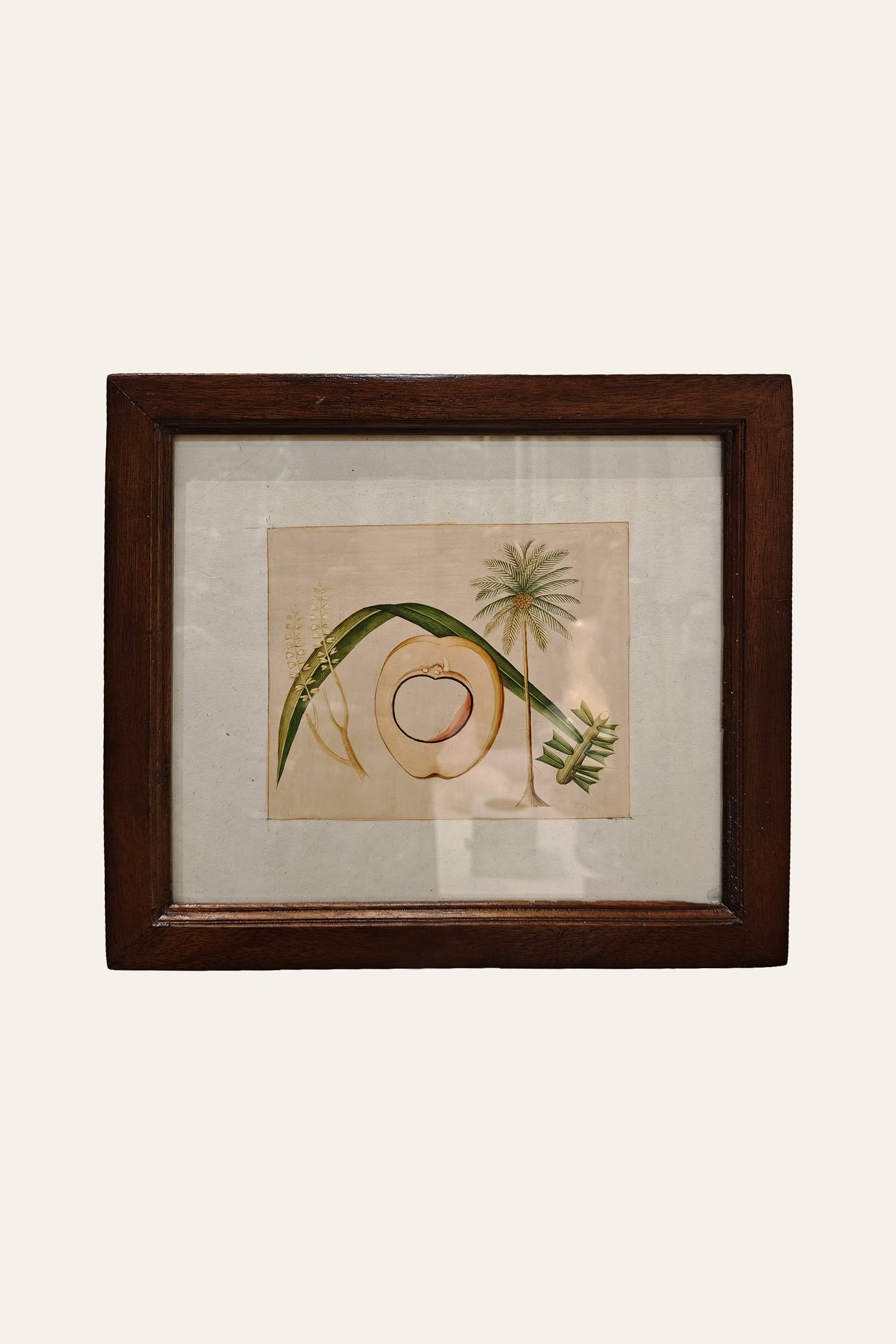 Coconut Tree Botanical Miniature Art