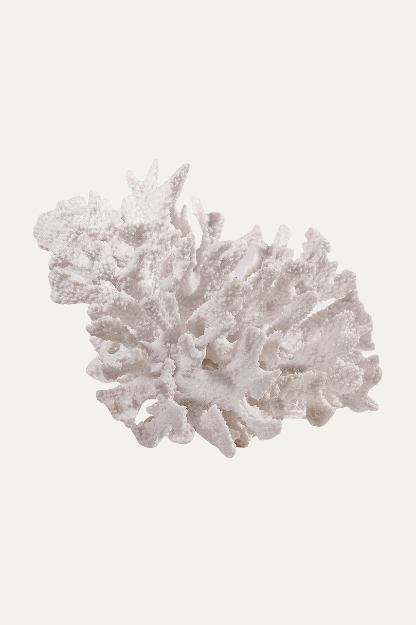 Coral Sculpture