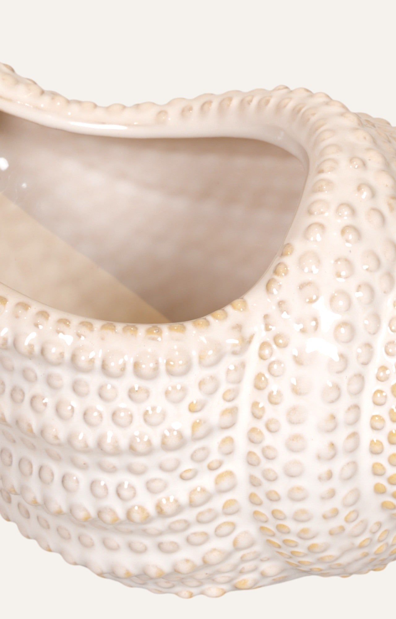 Ceramic Shell-Shaped Planter