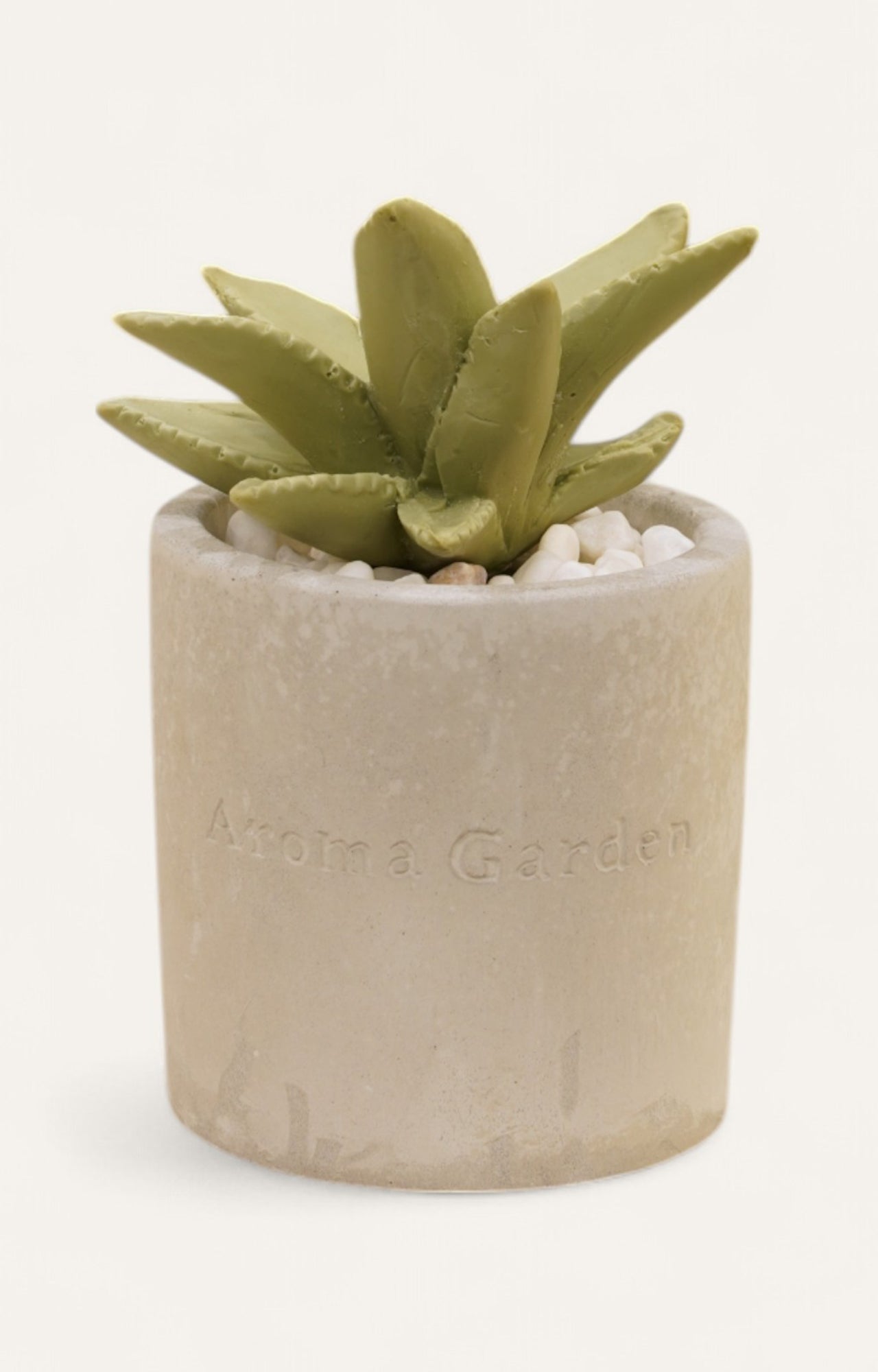 Aloe Cement Aroma Diffuser