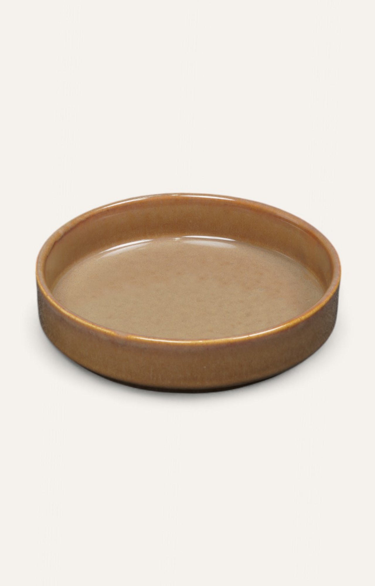 Earth-Toned Flat Ceramic Bowl