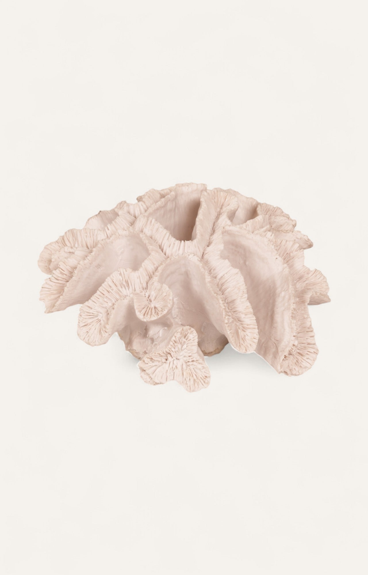 Ocean Indoor Table Decor