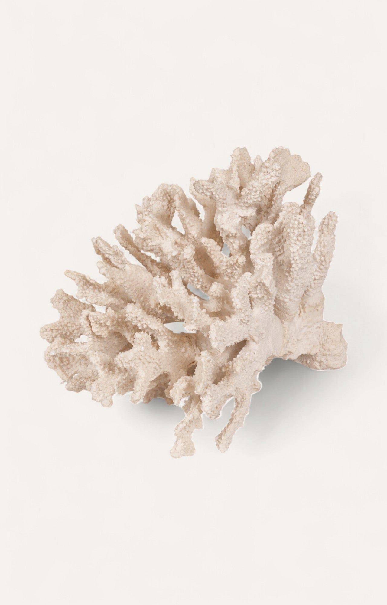 Polyresin Coral Table Decor