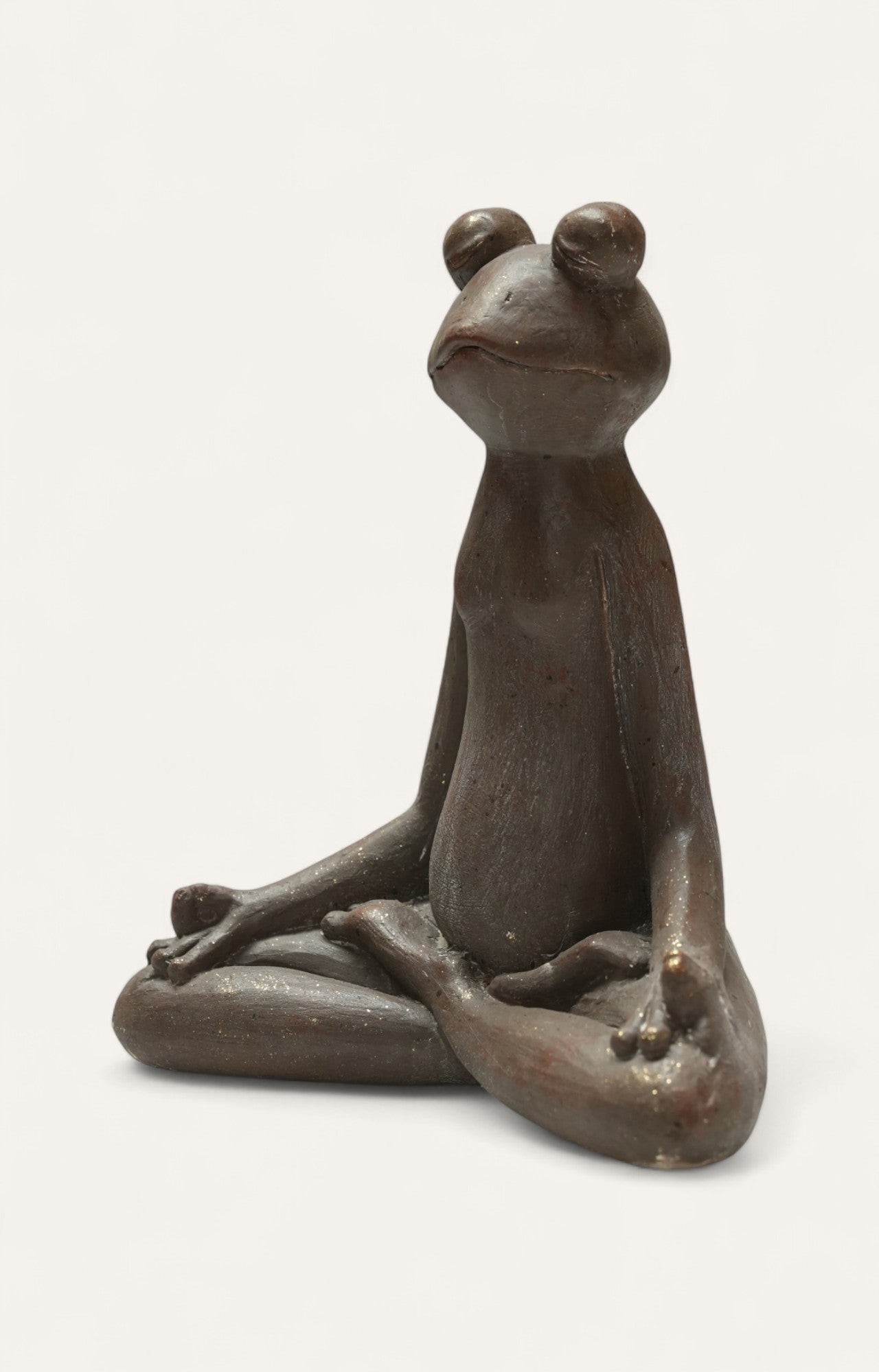 Meditative Yogic Frog