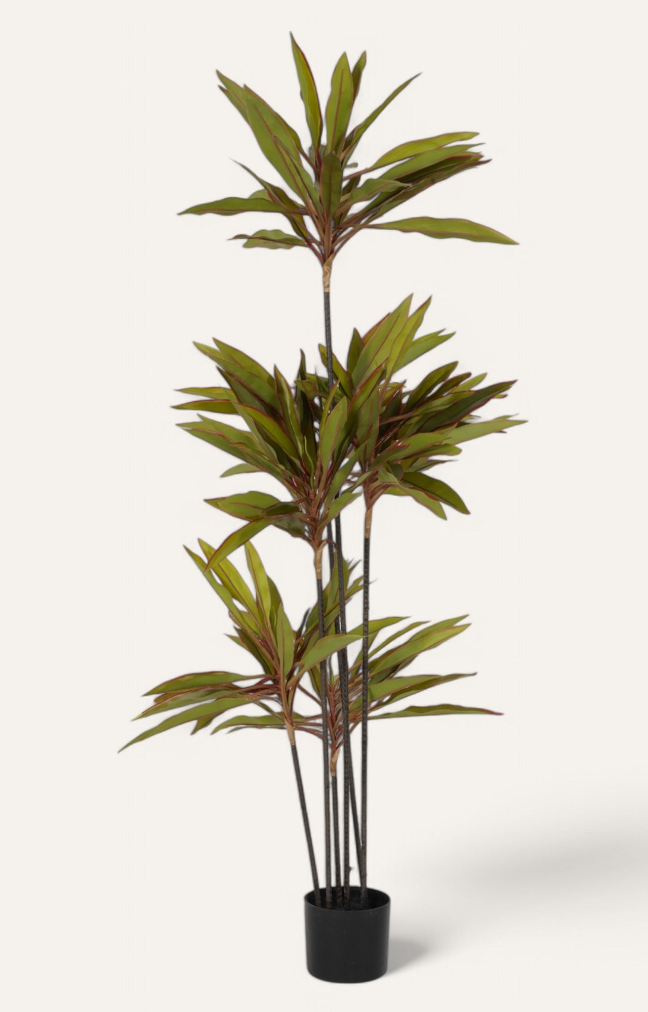 Artificial Cordyline Floor Plant – 5 ft