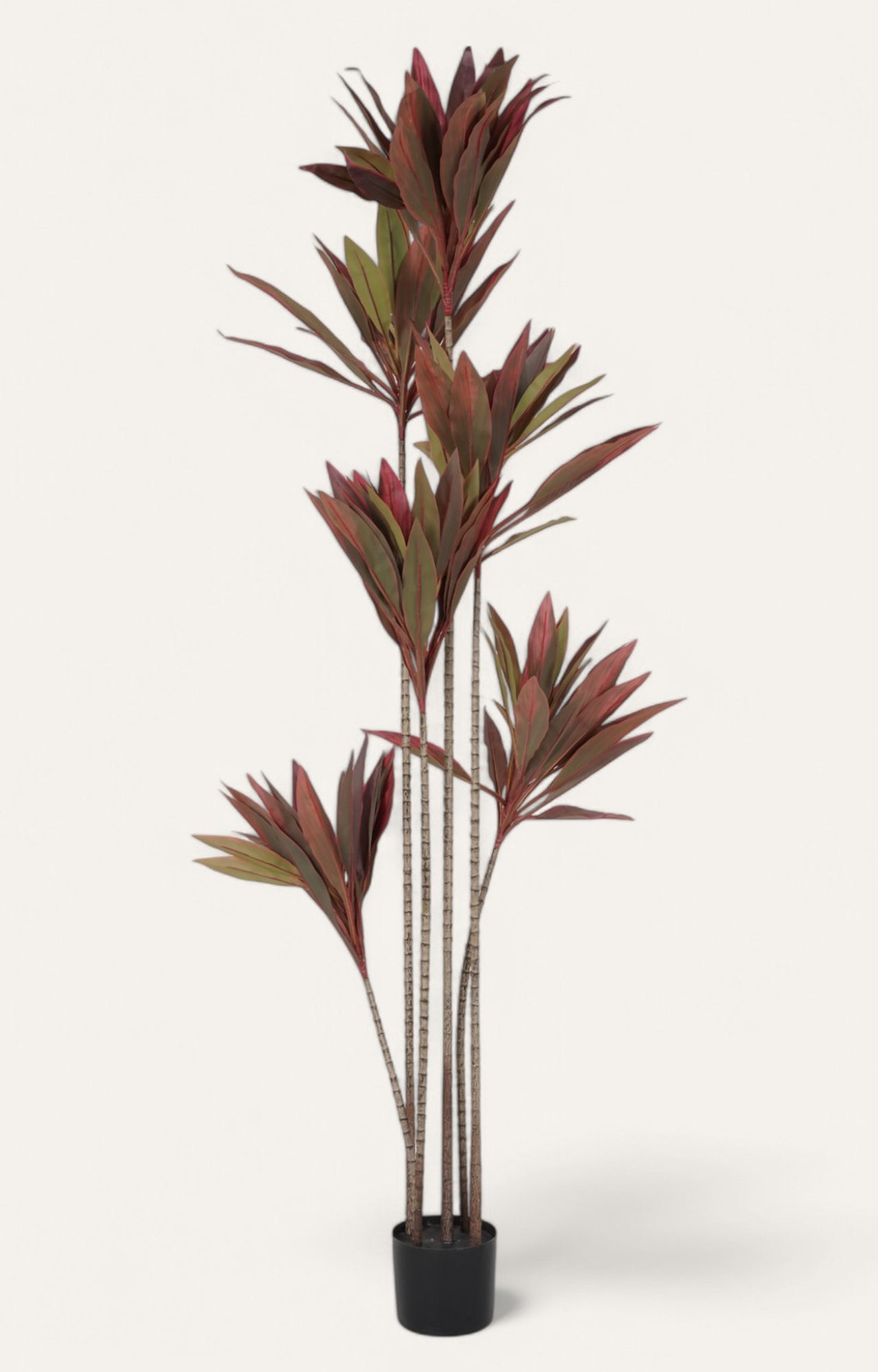 Artificial Red Cordyline Plant - 6 Feet