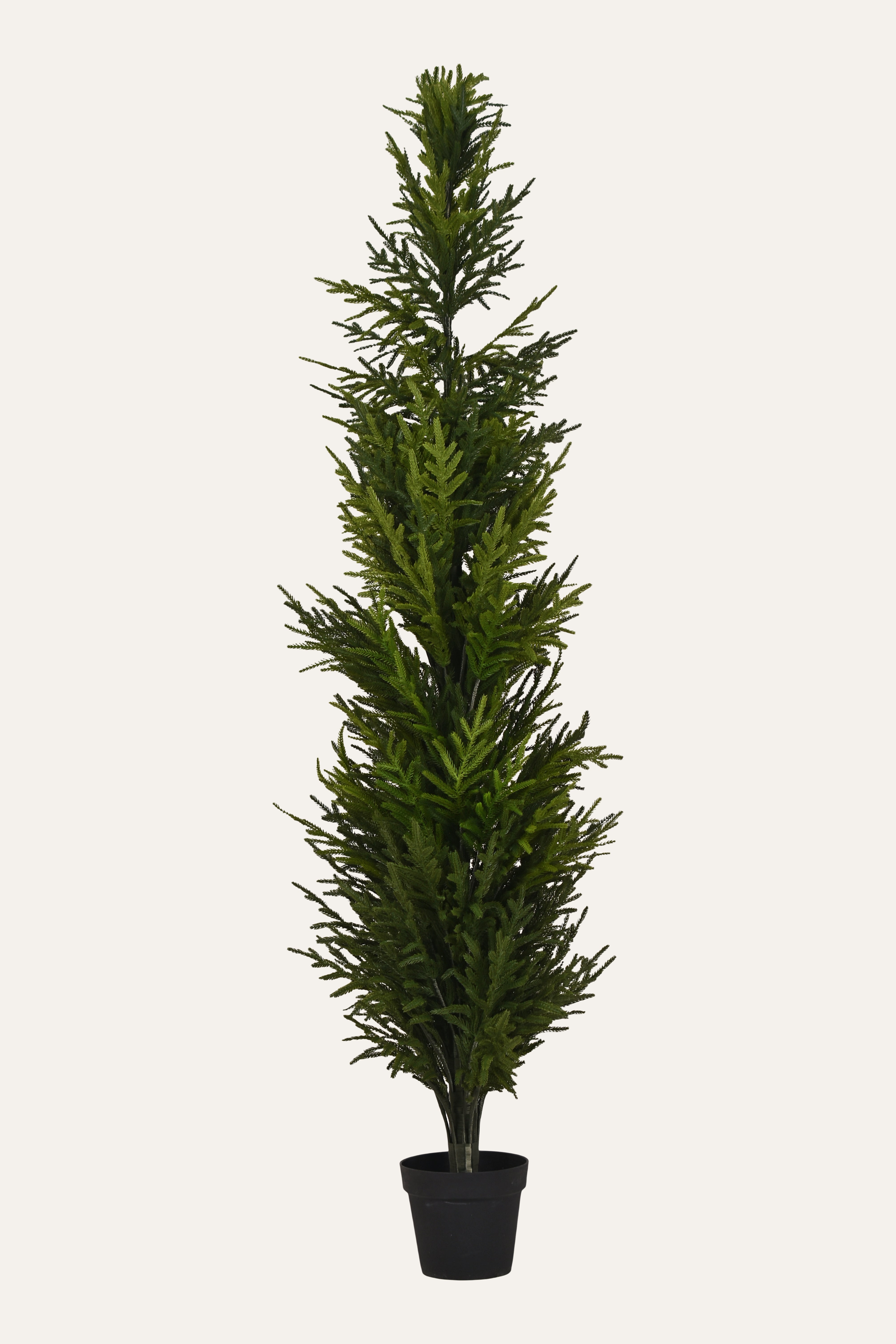 Evergreen Calm Artificial Mini Pine Plant