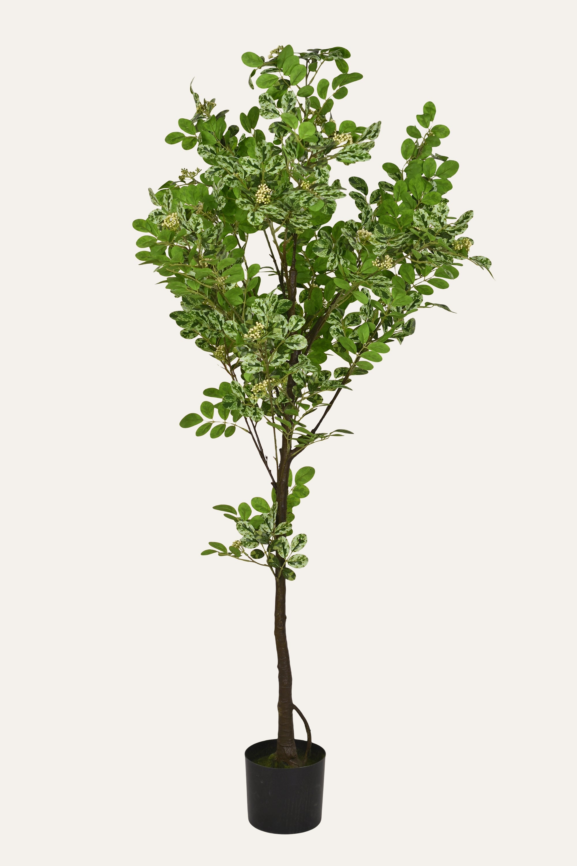 Verdant Mini Artificial Foliage Plant