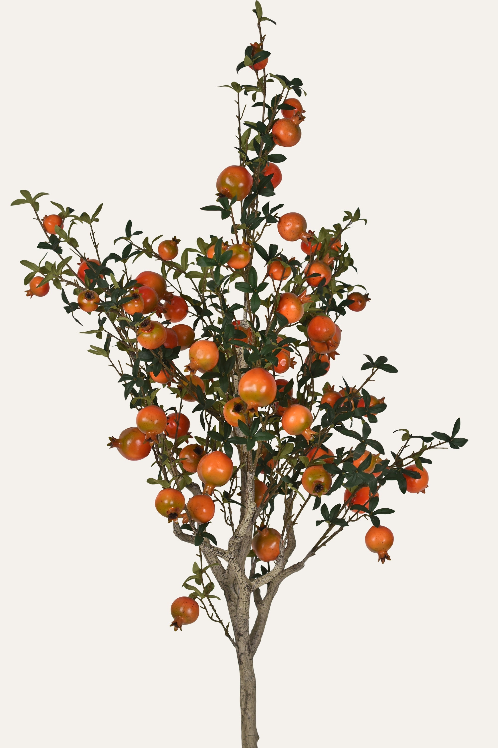 Citrus Elegance Artificial Pomelo Plant