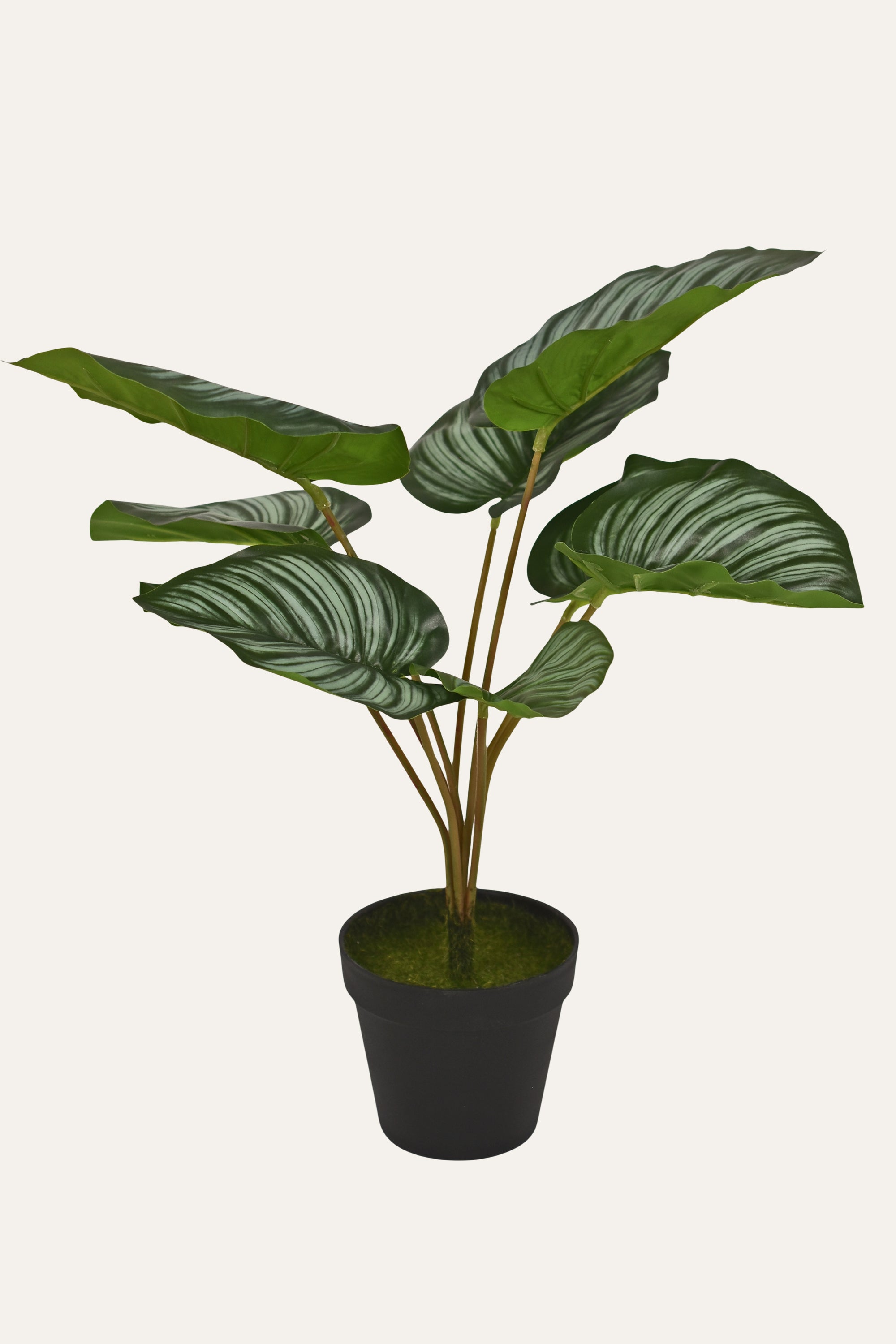 Stripe Leaf Artificial Plant