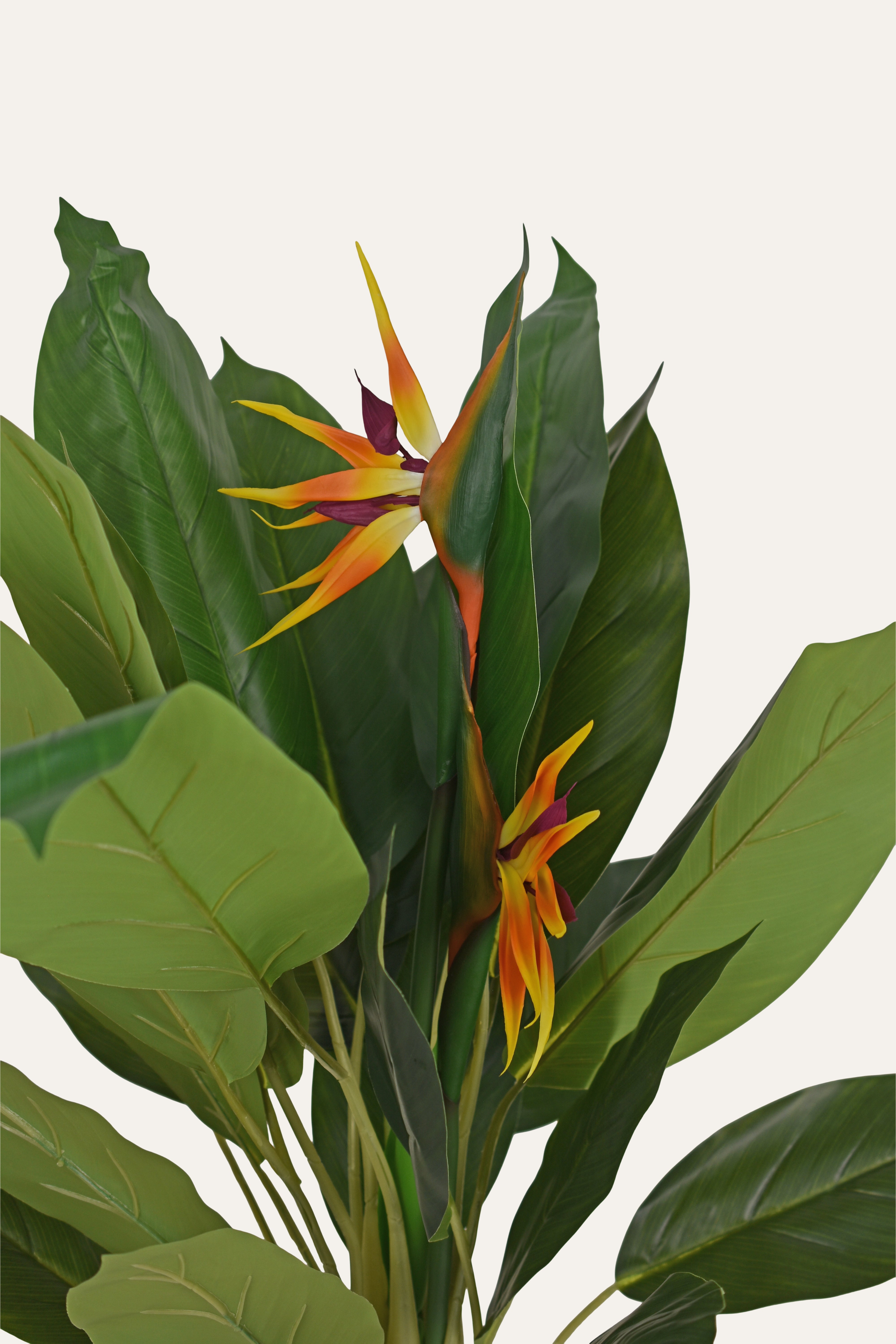 Tropic Flame Artificial Bird of Paradise Plant