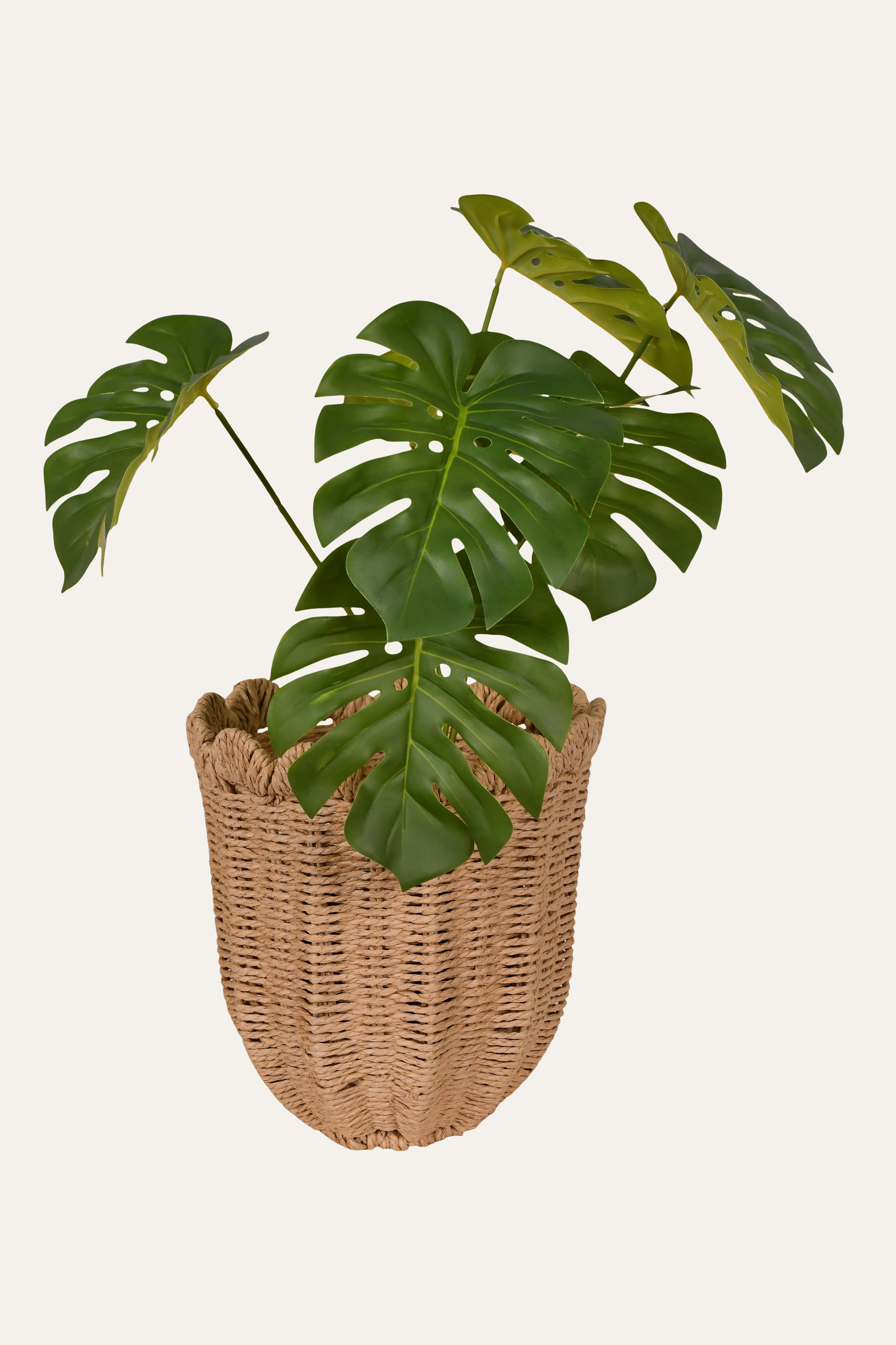 Scalloped Rim Woven Planter - Medium