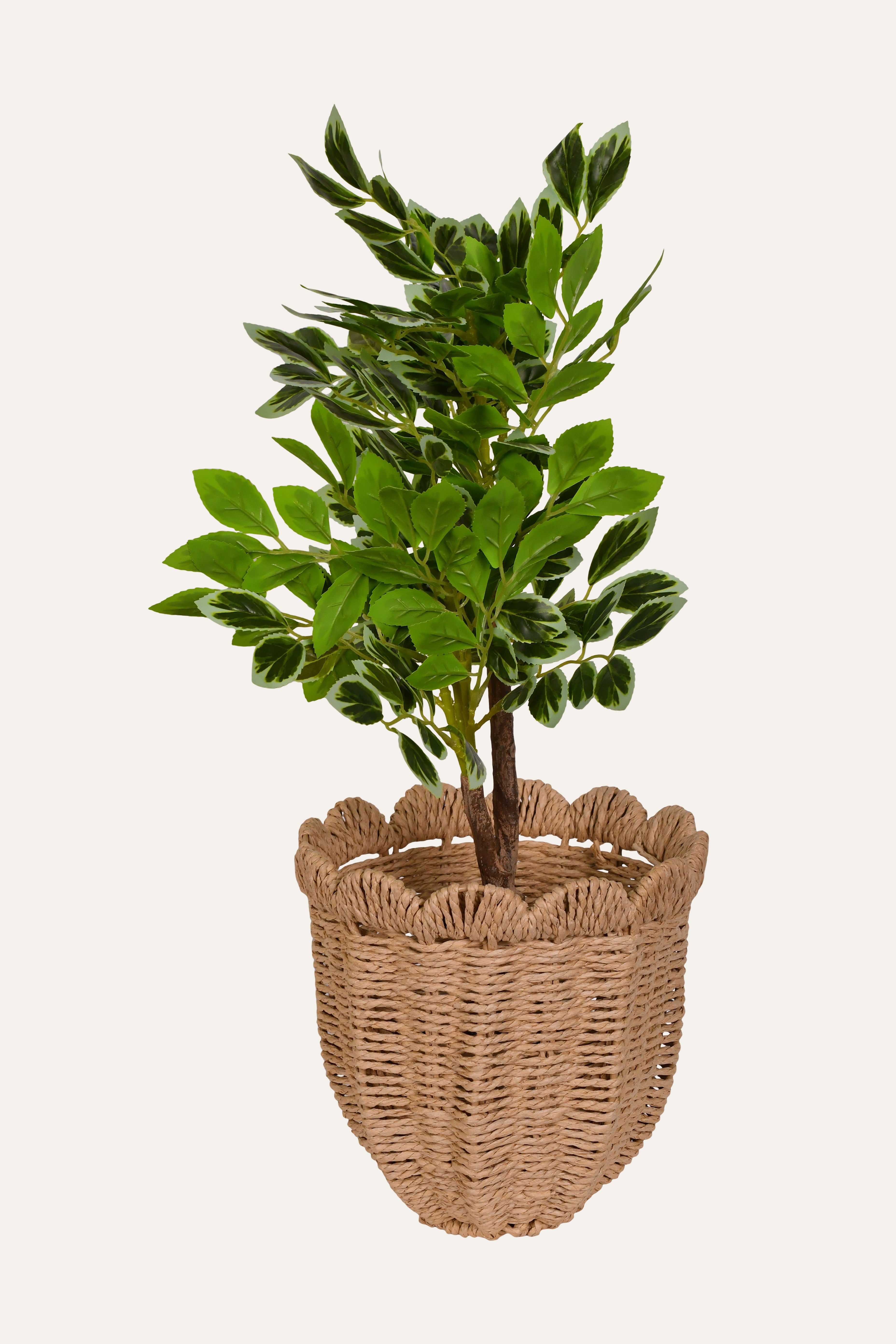 Scalloped Rim Woven Planter - Small