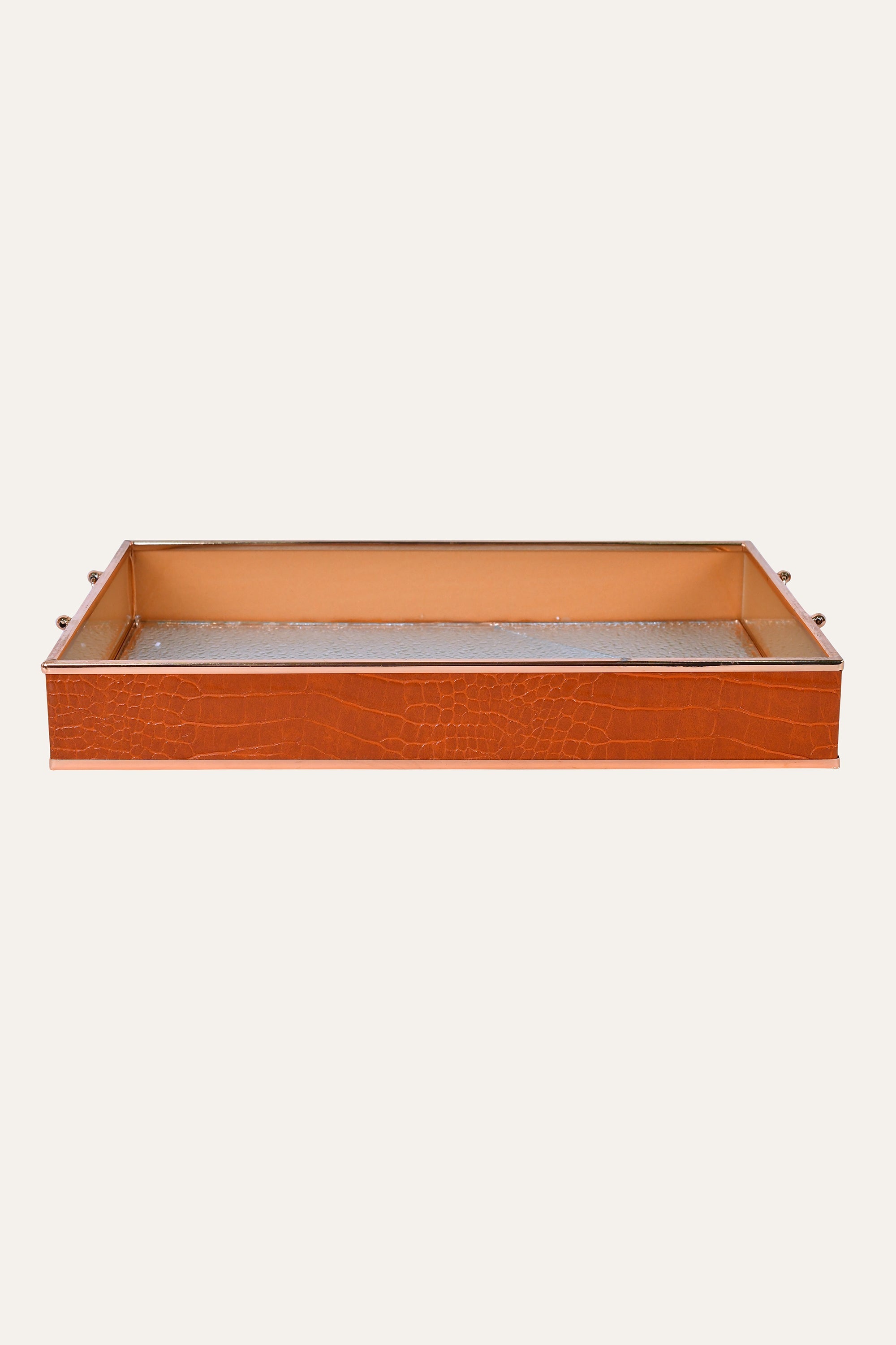 Rectangular Metal and Glass Tray with Handles