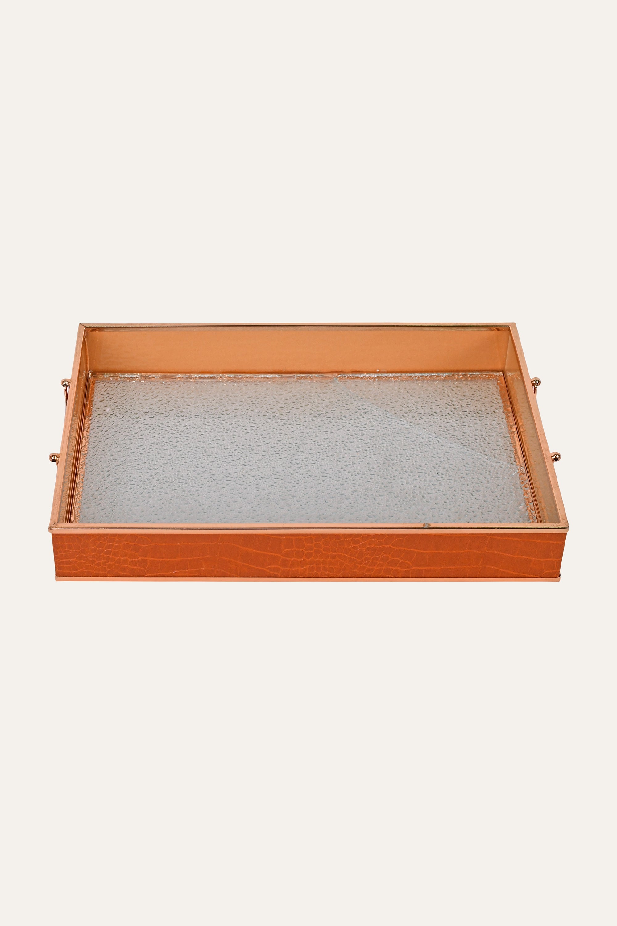 Rectangular Metal and Glass Tray with Handles