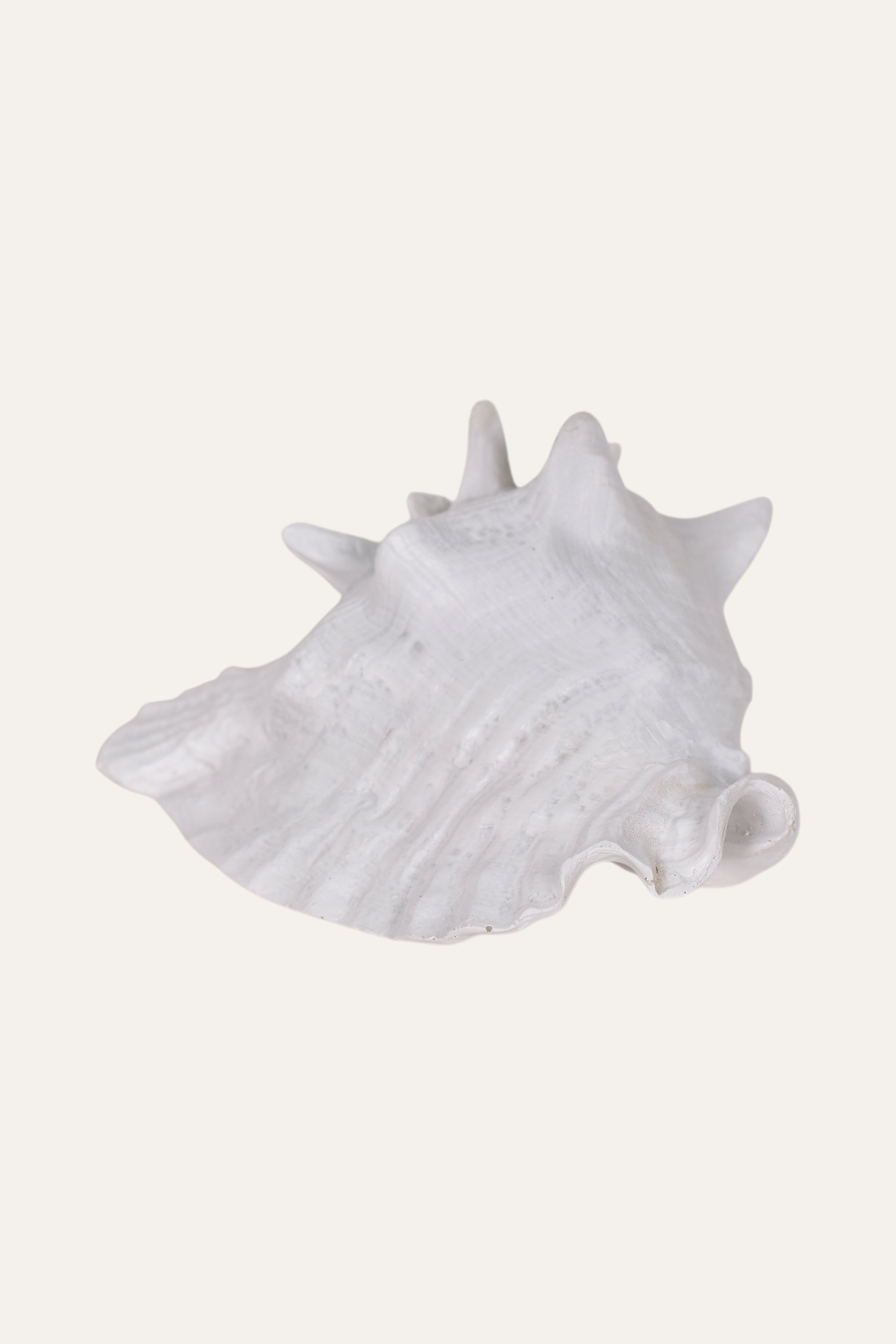 Decorative White Resin Conch Shell Sculpture Coastal Table Décor