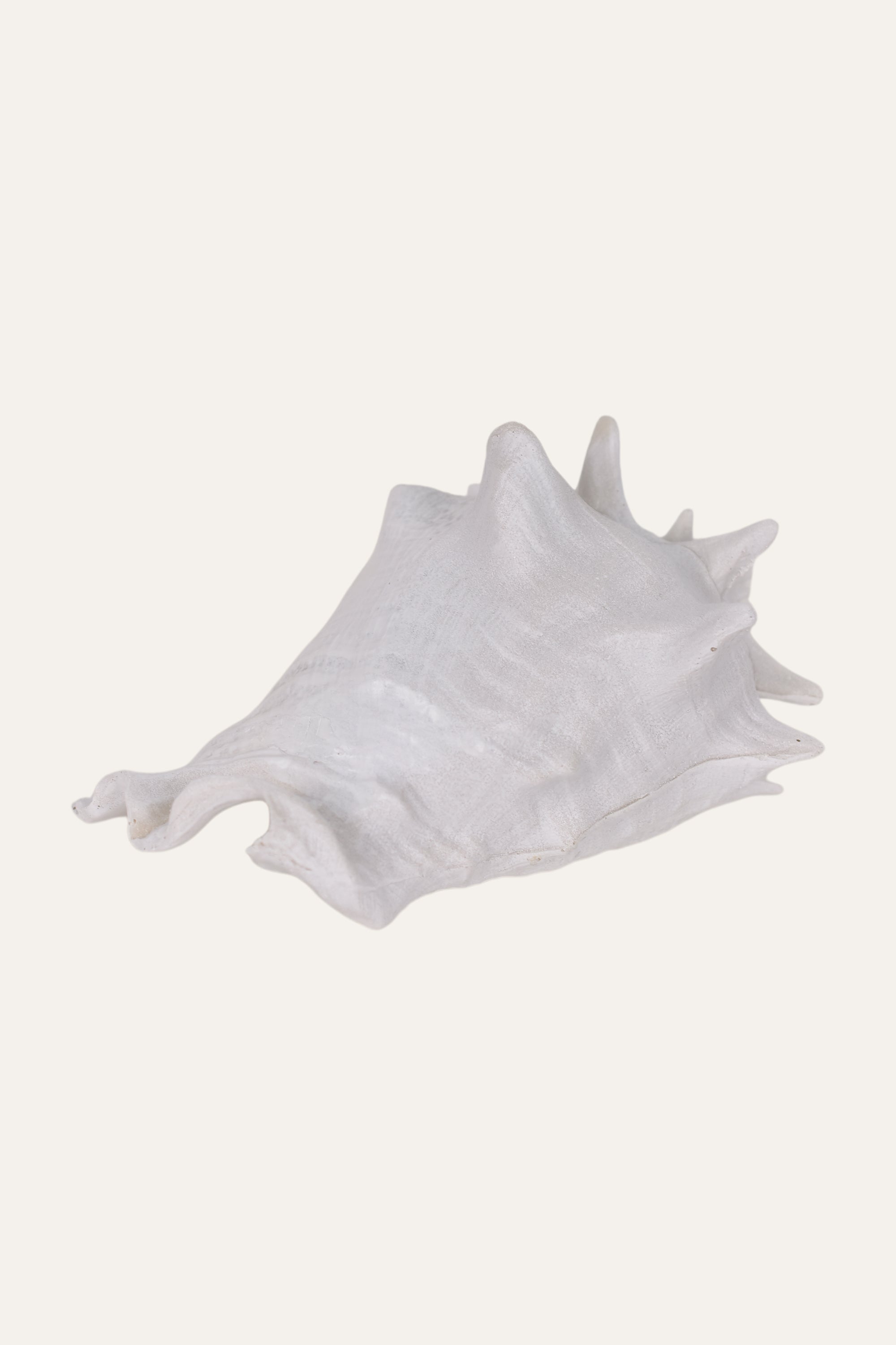 Decorative White Resin Conch Shell Sculpture Coastal Table Décor