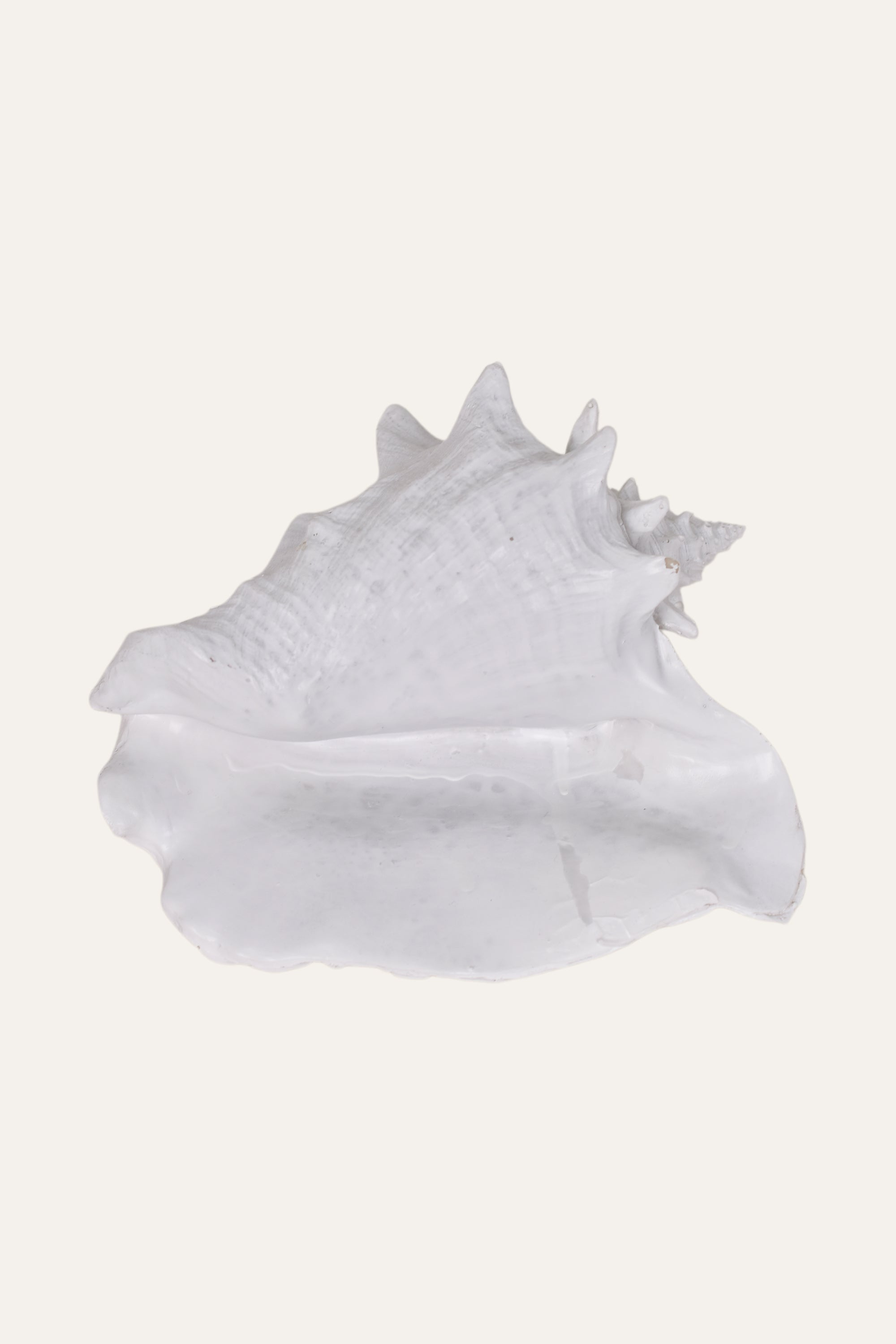 Decorative White Resin Sea Shell Sculpture Coastal Table Décor