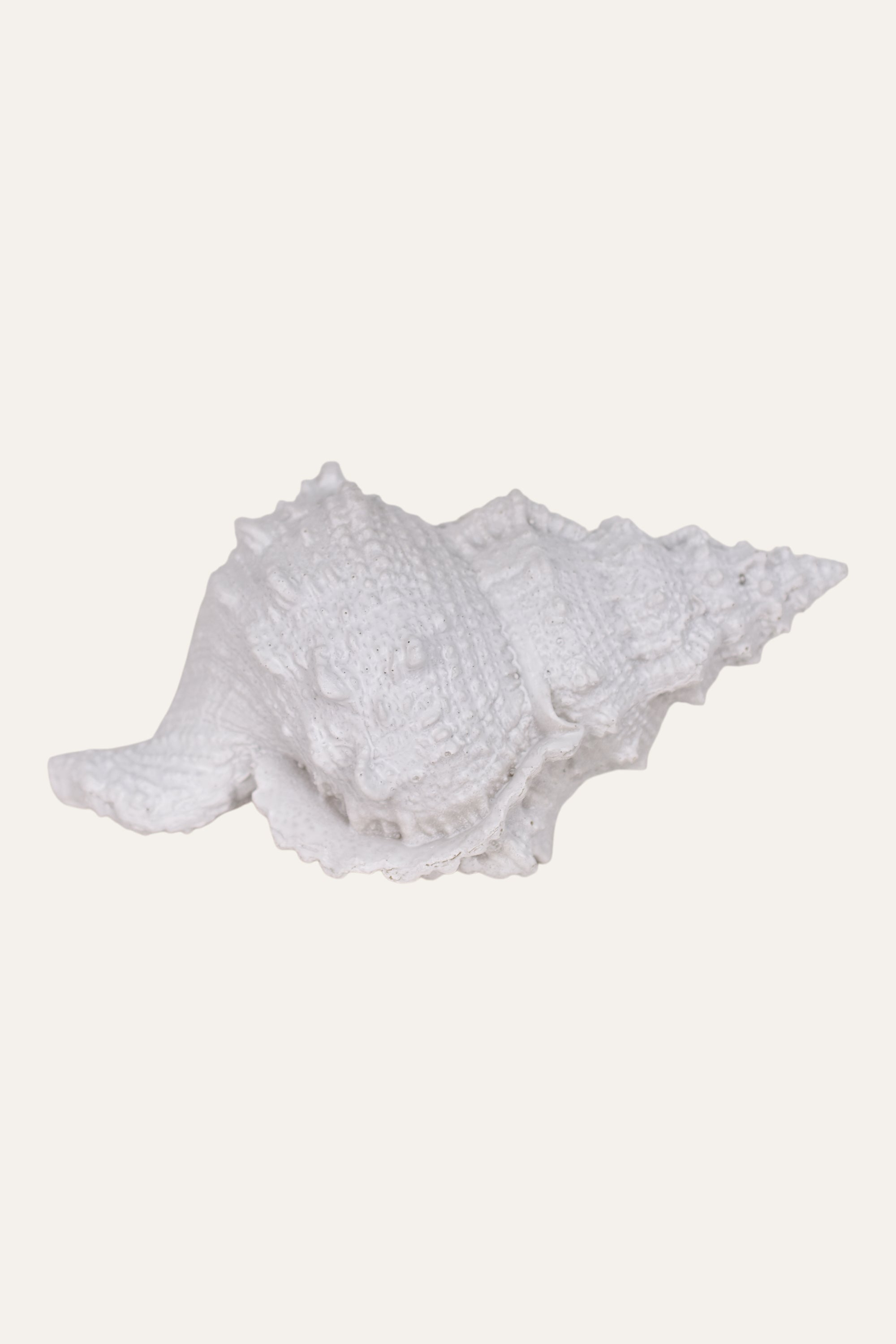 Decorative White Resin Sea Shell Sculpture Coastal Table Décor