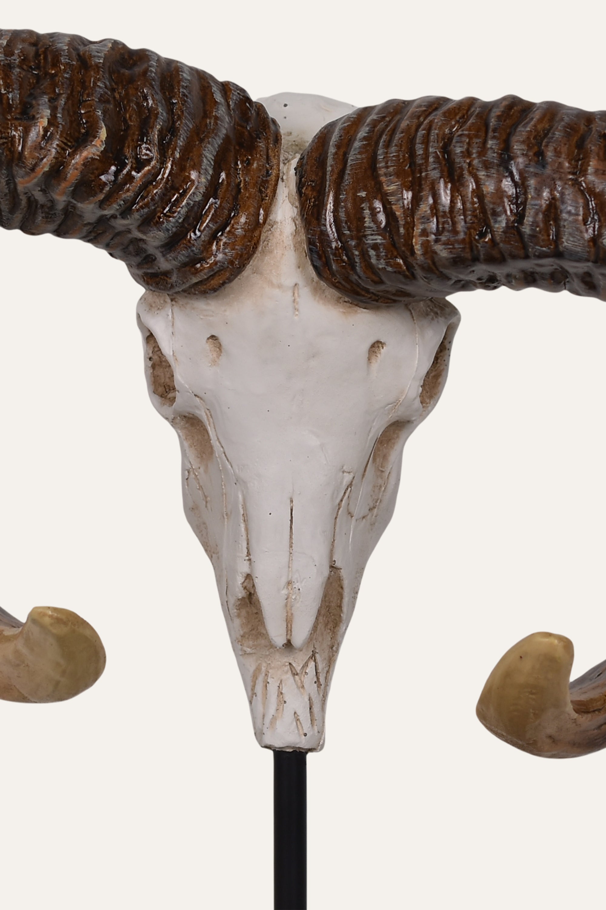 Decorative Skull Resin Sculpture