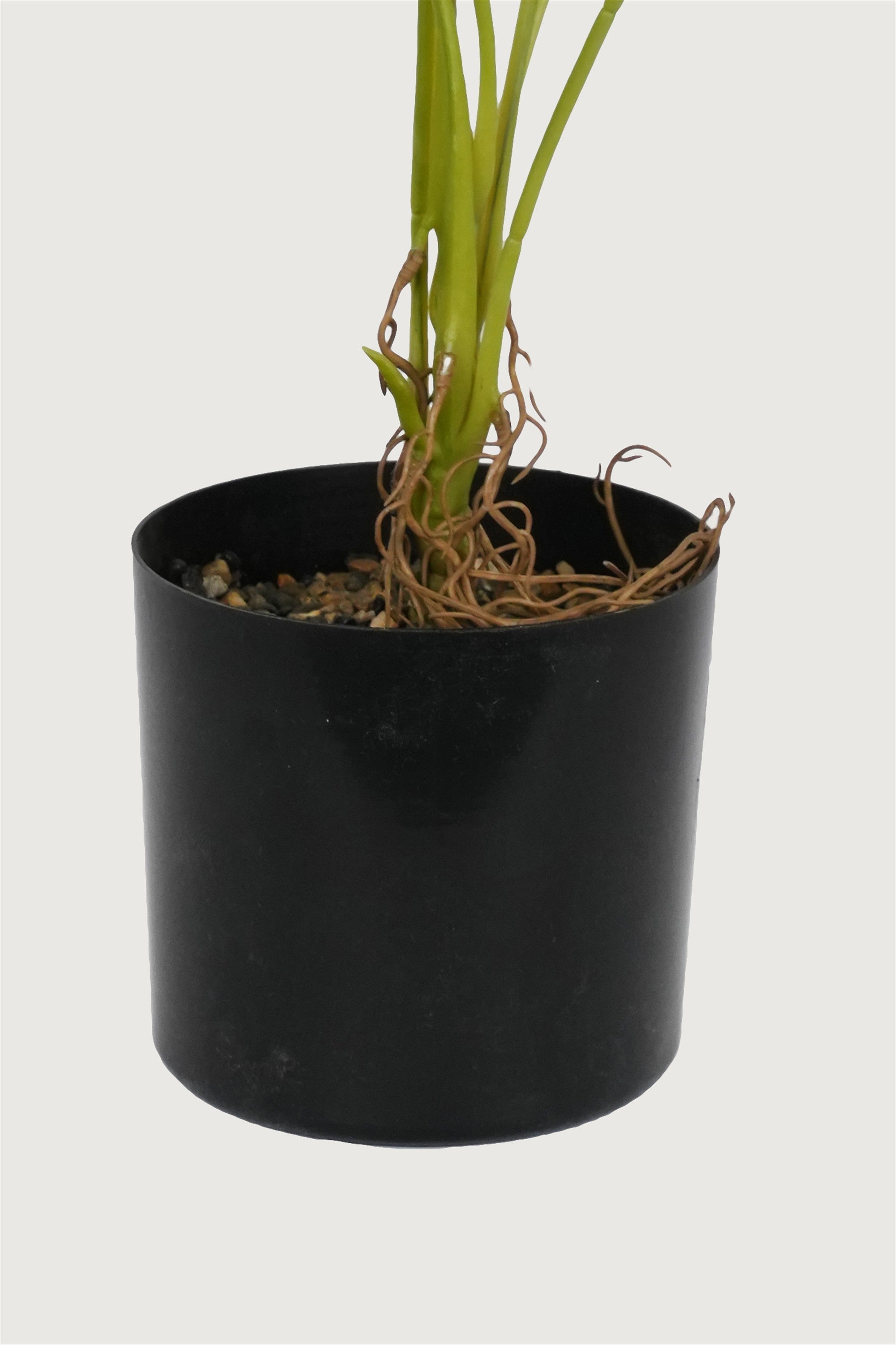 Decorative black pot greenery