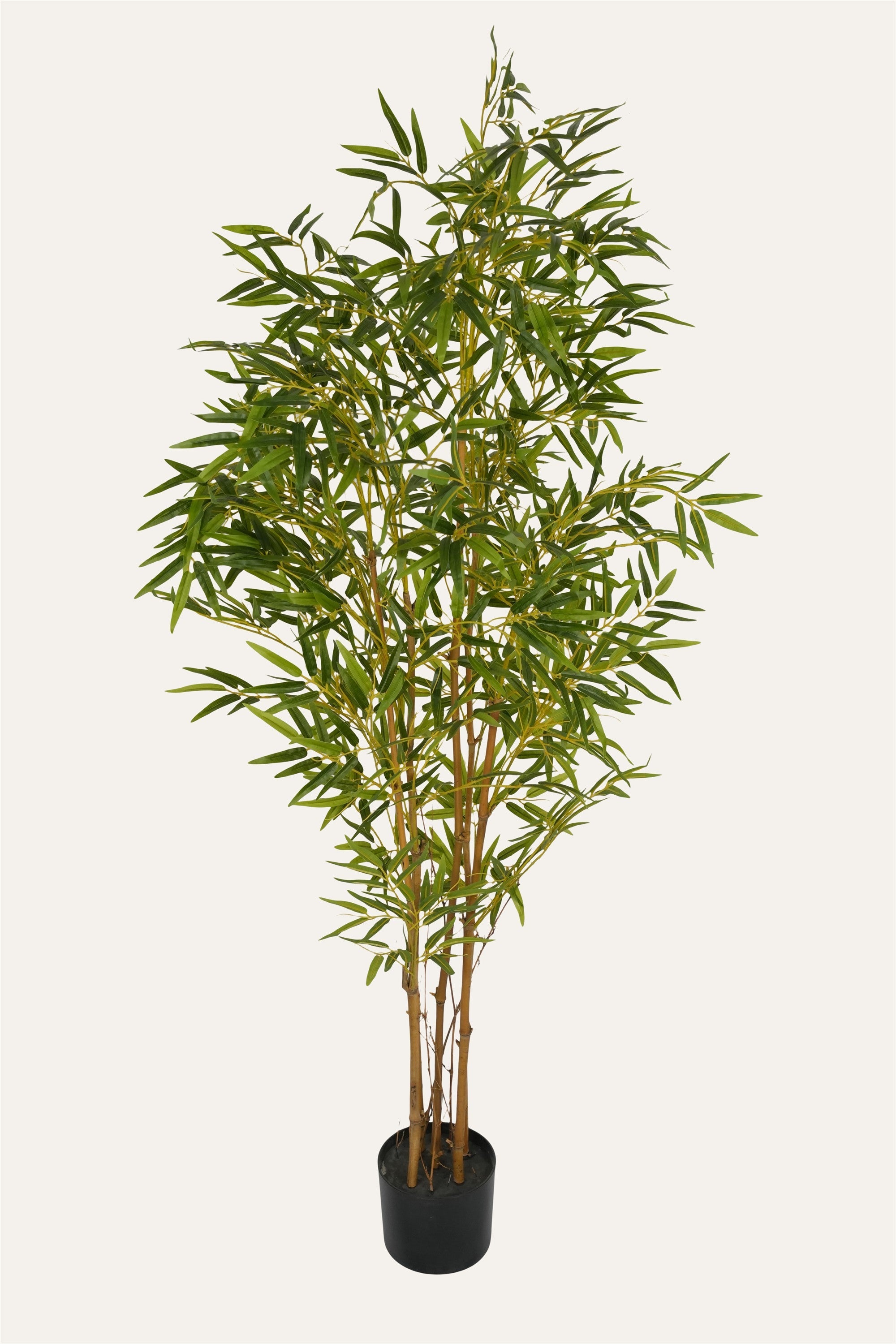Decorative indoor bamboo tree