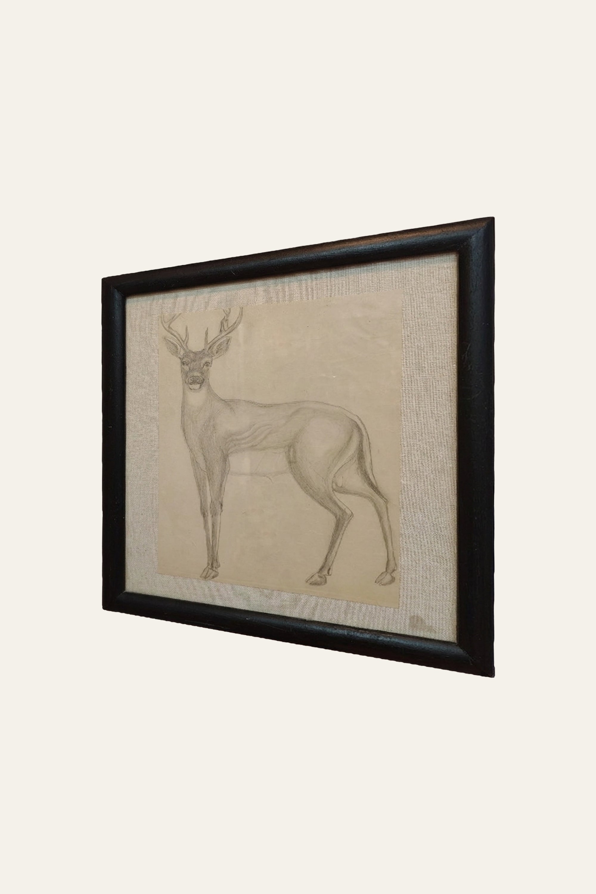 Deer Pencil Sketch Artwork