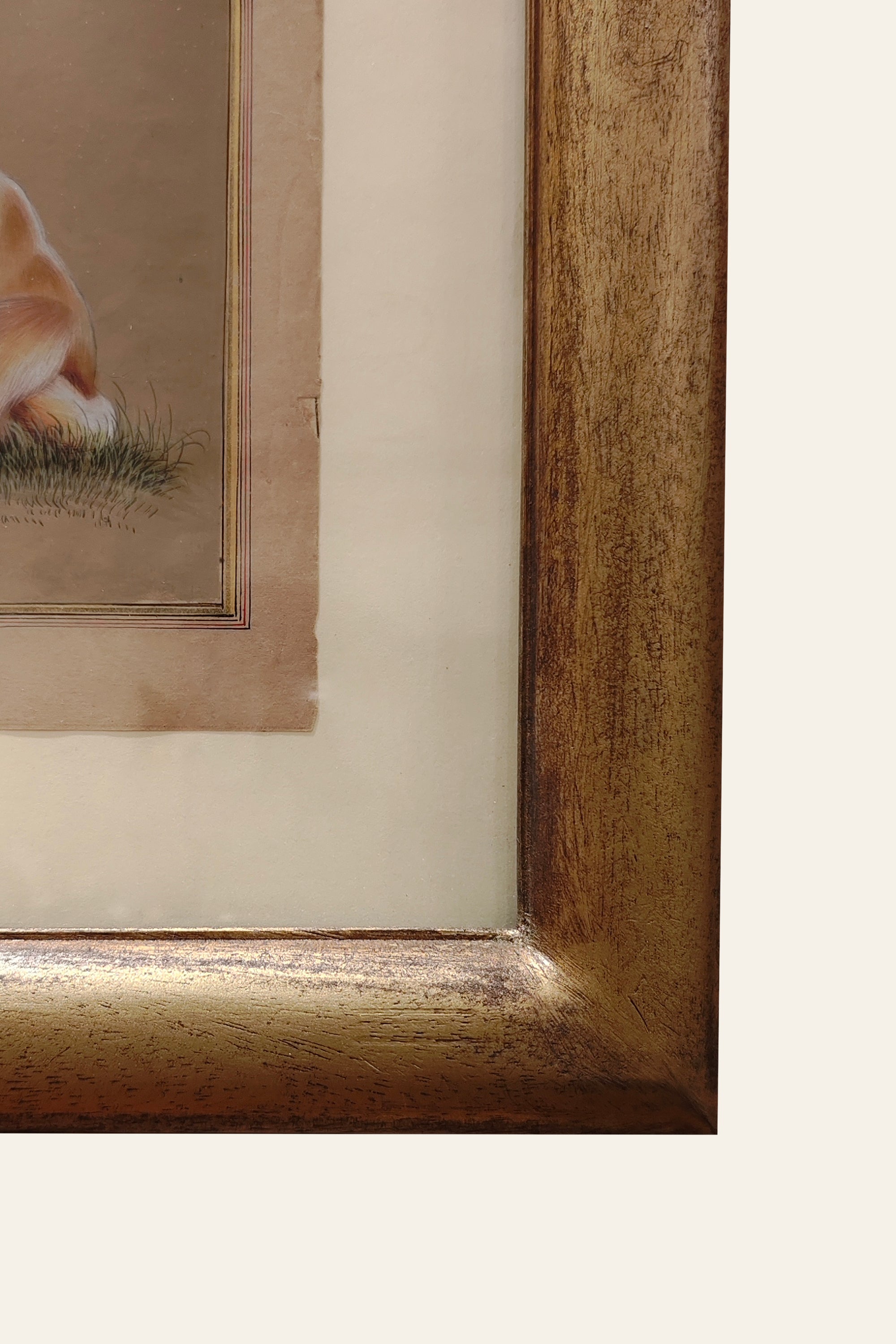 Dog Portrait Wall Art
